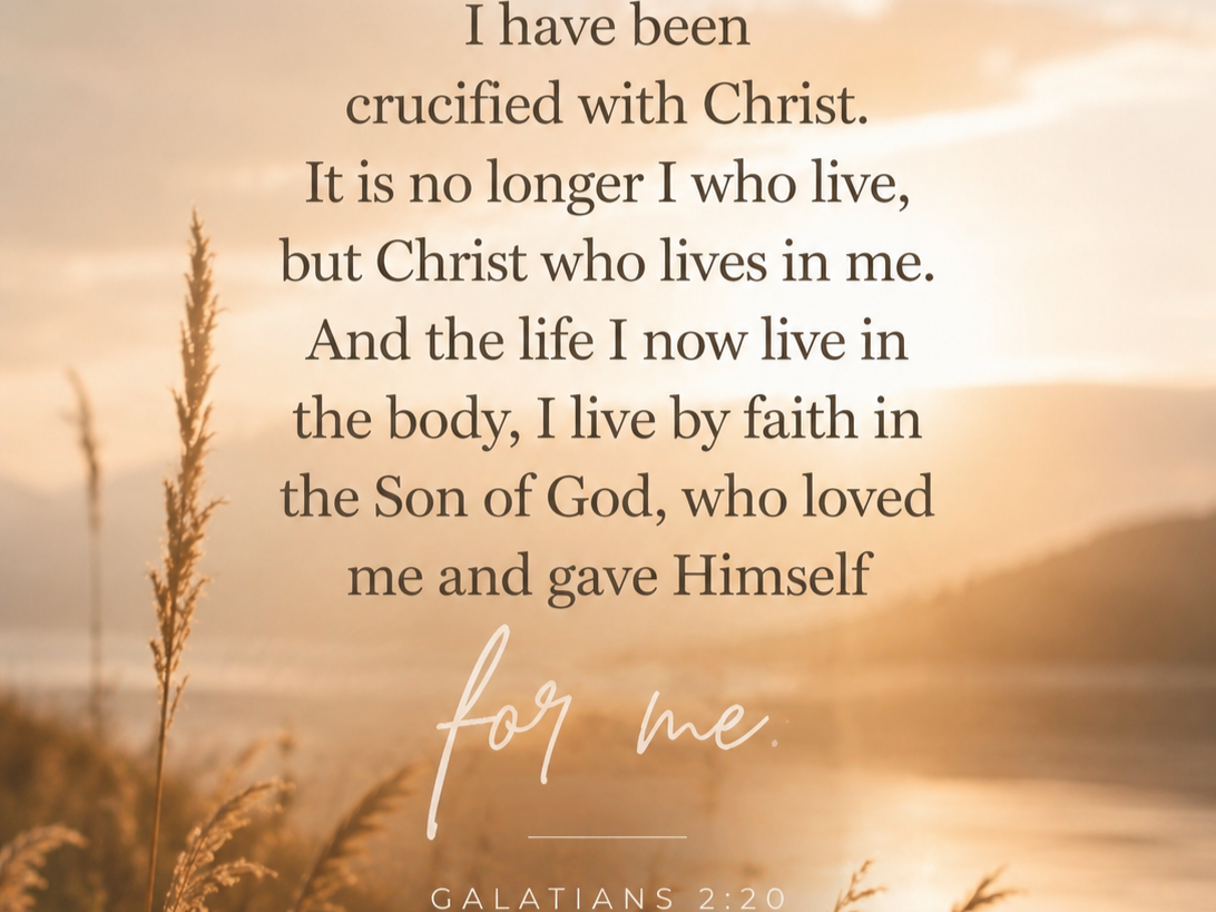 Inspirational religious quote from Galatians 2:20 over a blurred sunset background with tall grasses in the foreground.
