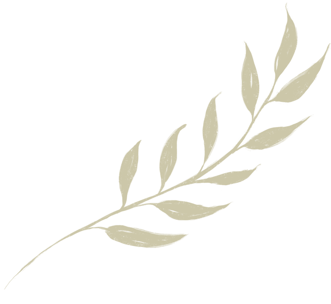 A beige, minimalist illustration of a leafy branch on a black background.