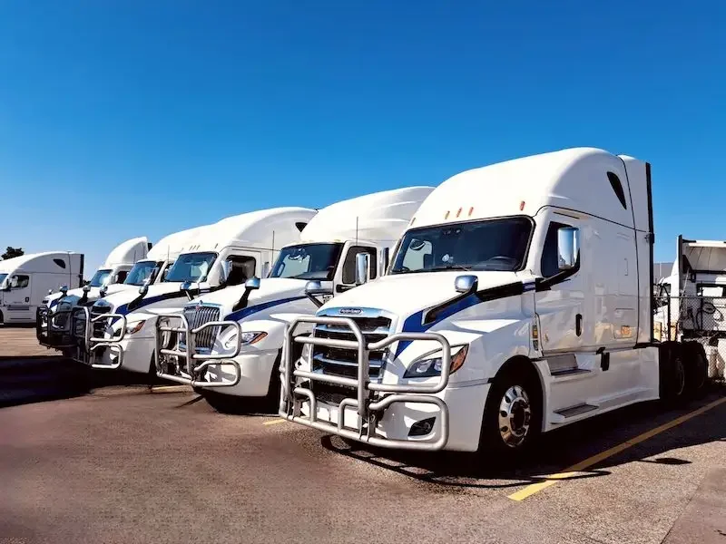 Row of white semi-trucks parked on a clear day with blue sky.