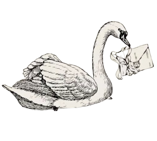 A detailed black and white illustration of a swan with its wings folded, holding a letter in its beak.