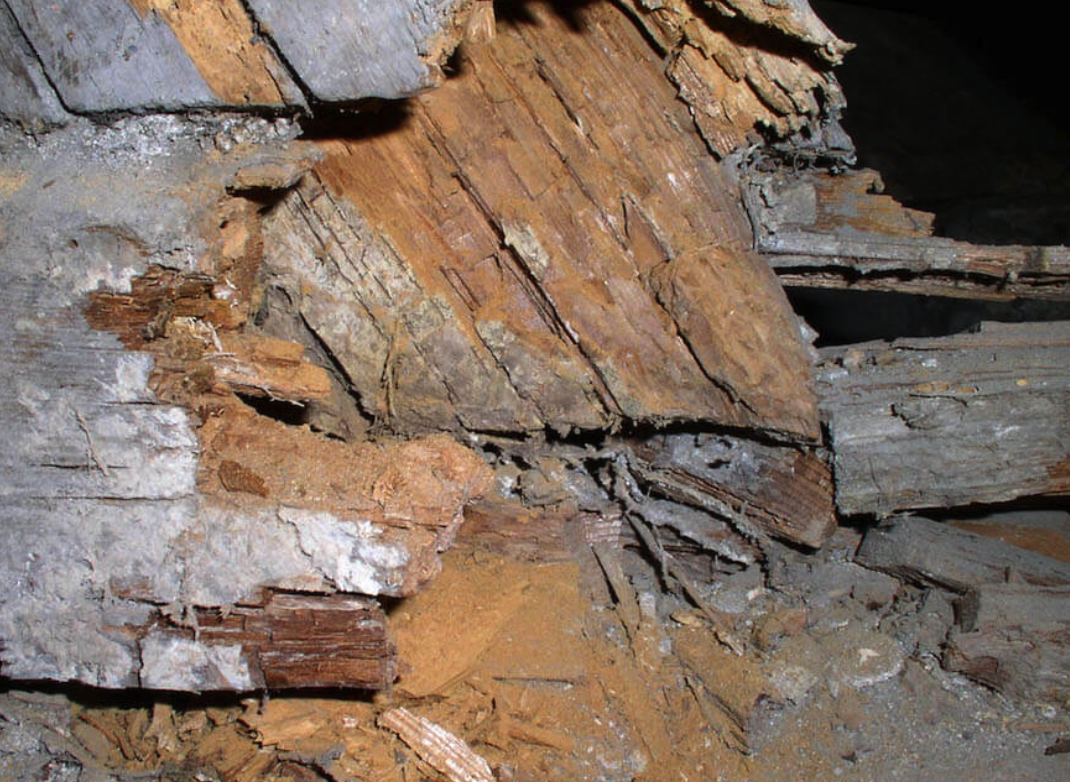Dry Rot & Wet Rot Treatment