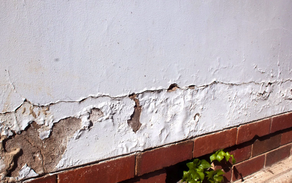Rising Damp