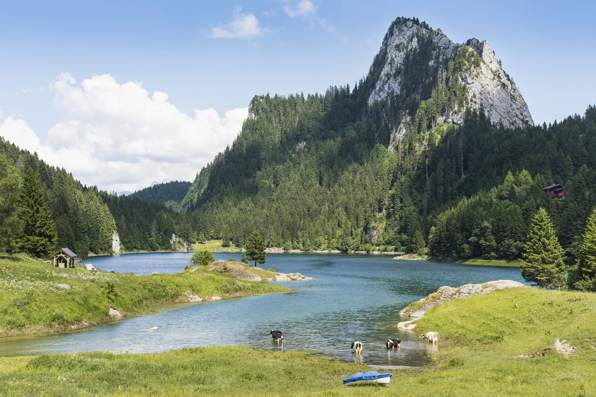 Un paysage naturel avec un lac entouré de montagnes boisées, un ciel bleu avec quelques nuages, des vaches dans l'eau, un petit bâtiment en bois, et un canoë bleu sur la rive.