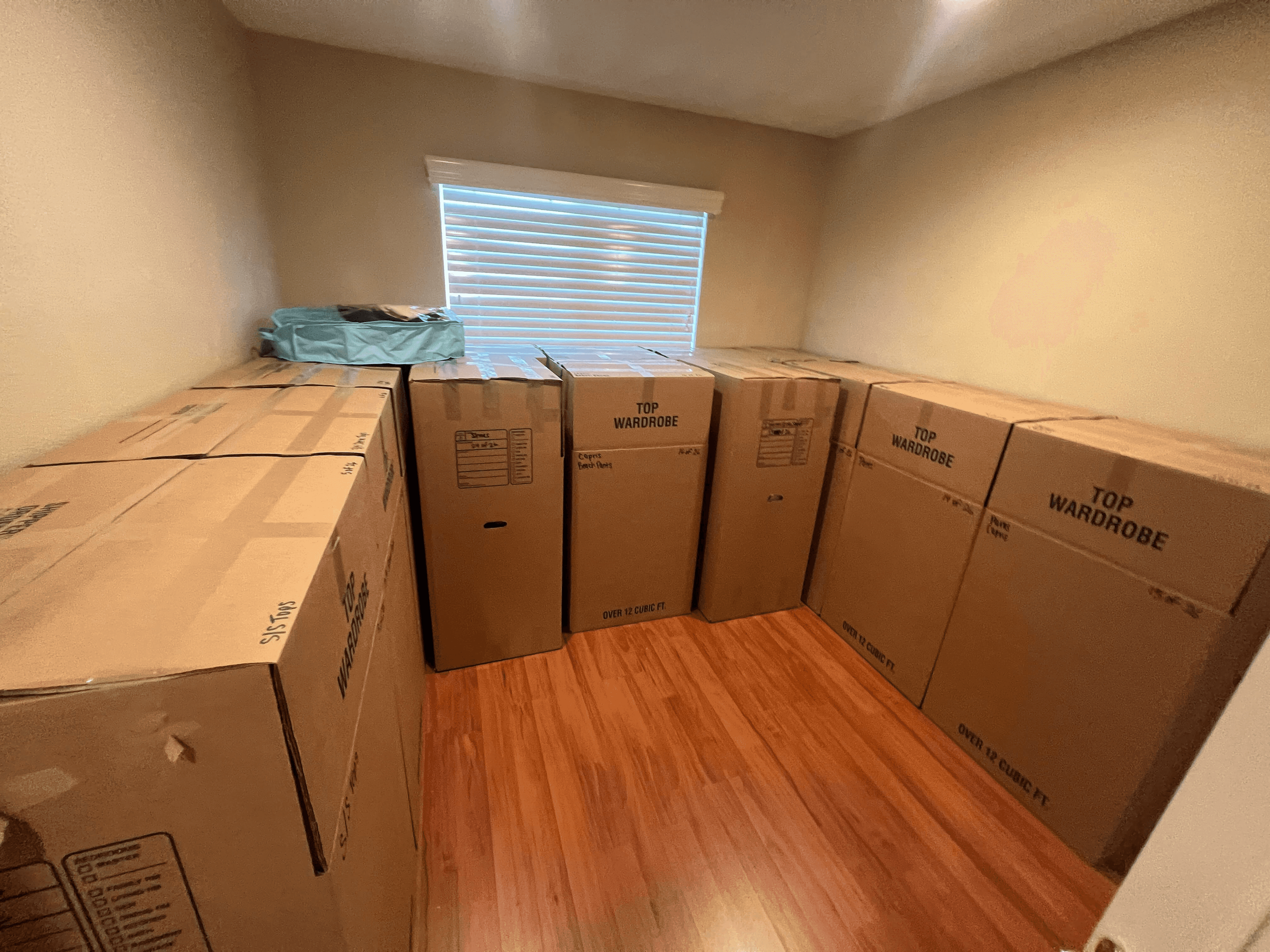 Westlake Village to Leisure Village -  Main Closet