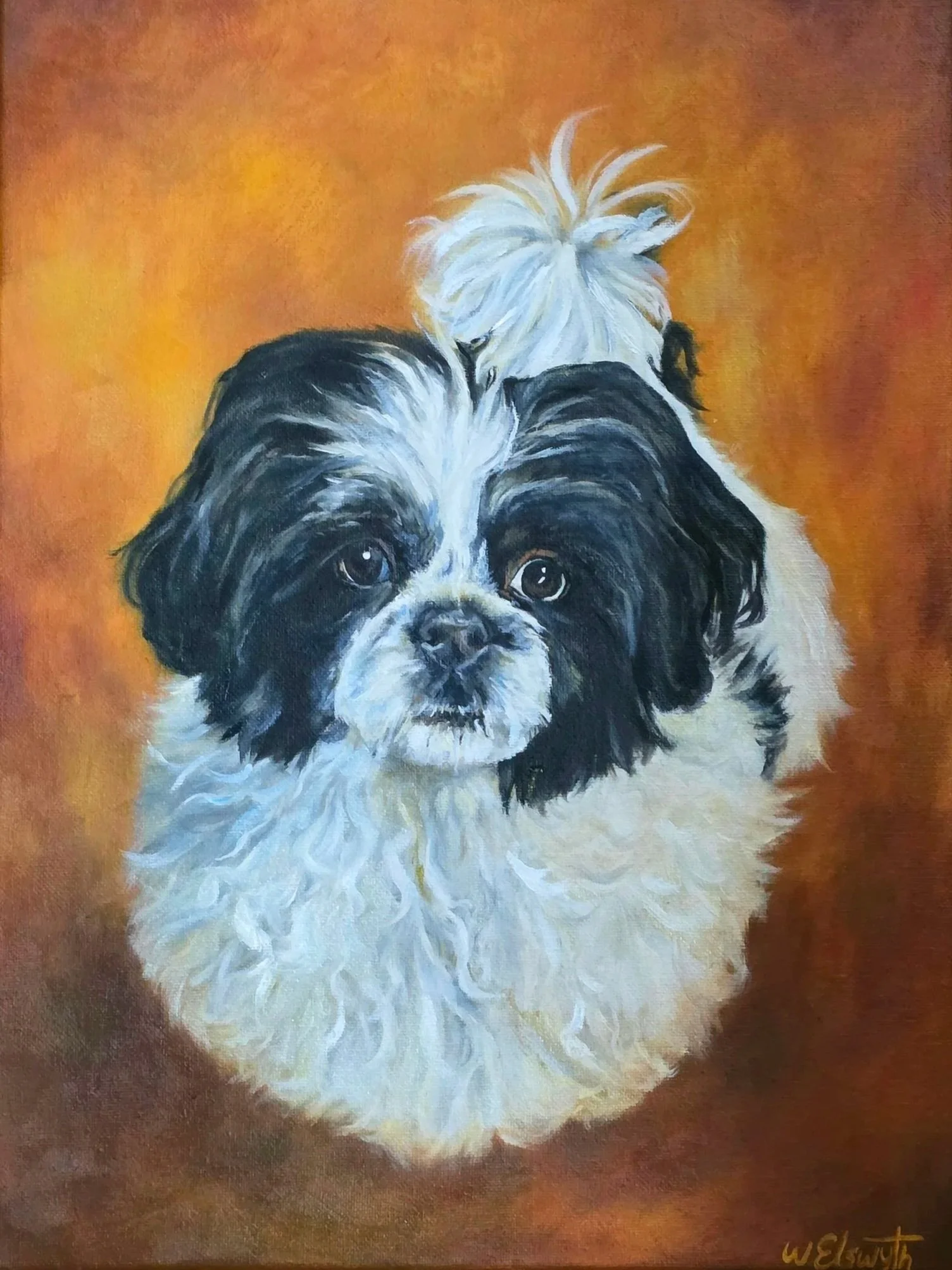  Willow,  2026 
oil on canvas  
12 x 16 in
 