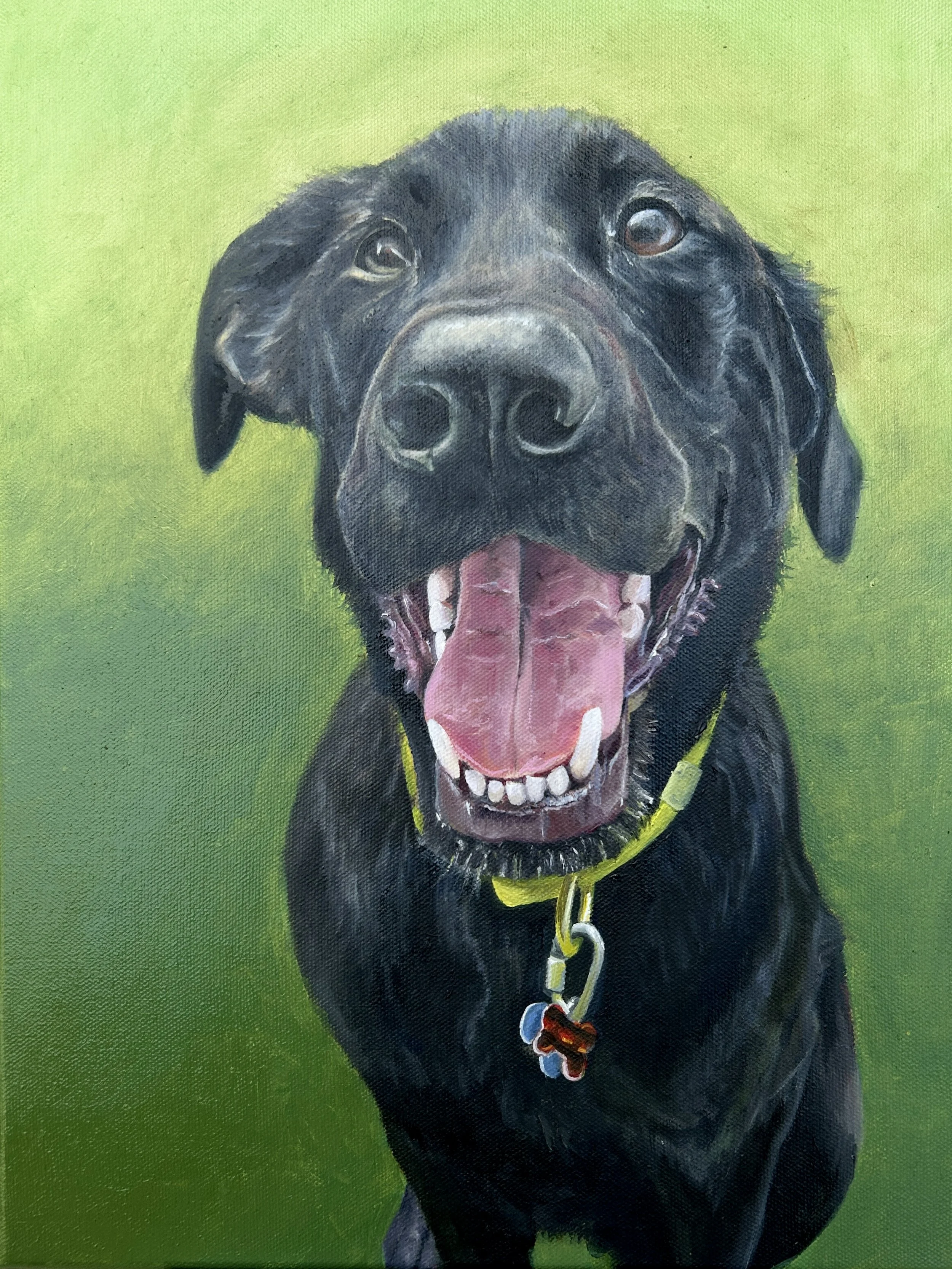  Bear,  2026 
oil on canvas  
12 x 16 in
 