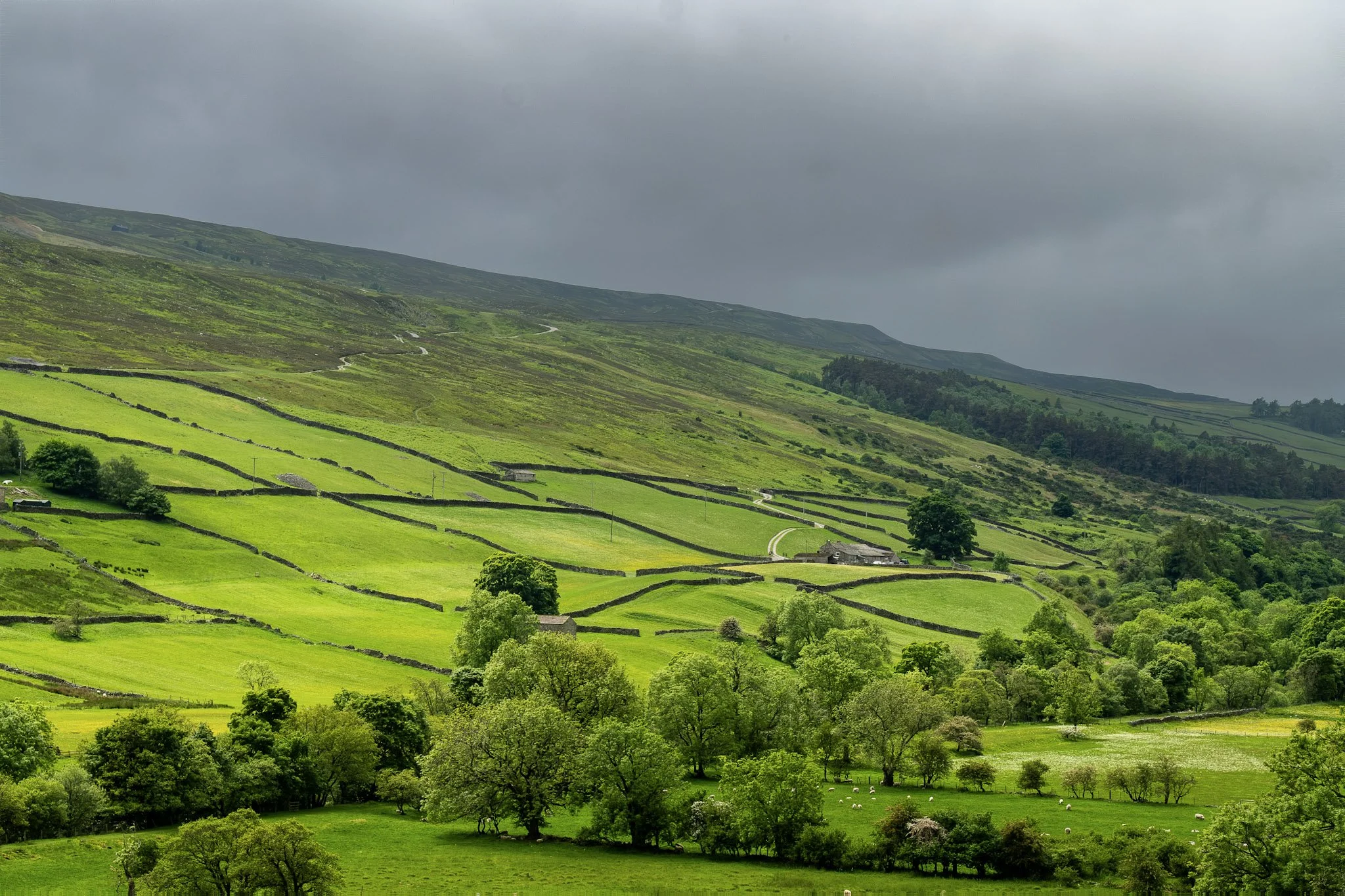 Yorkshire Dales holiday with private transport