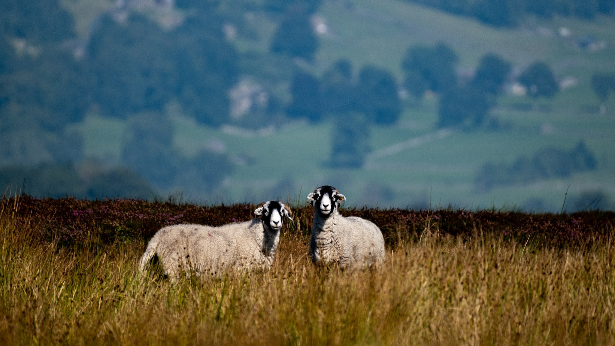 Yorkshire Dales holiday planned around your interests