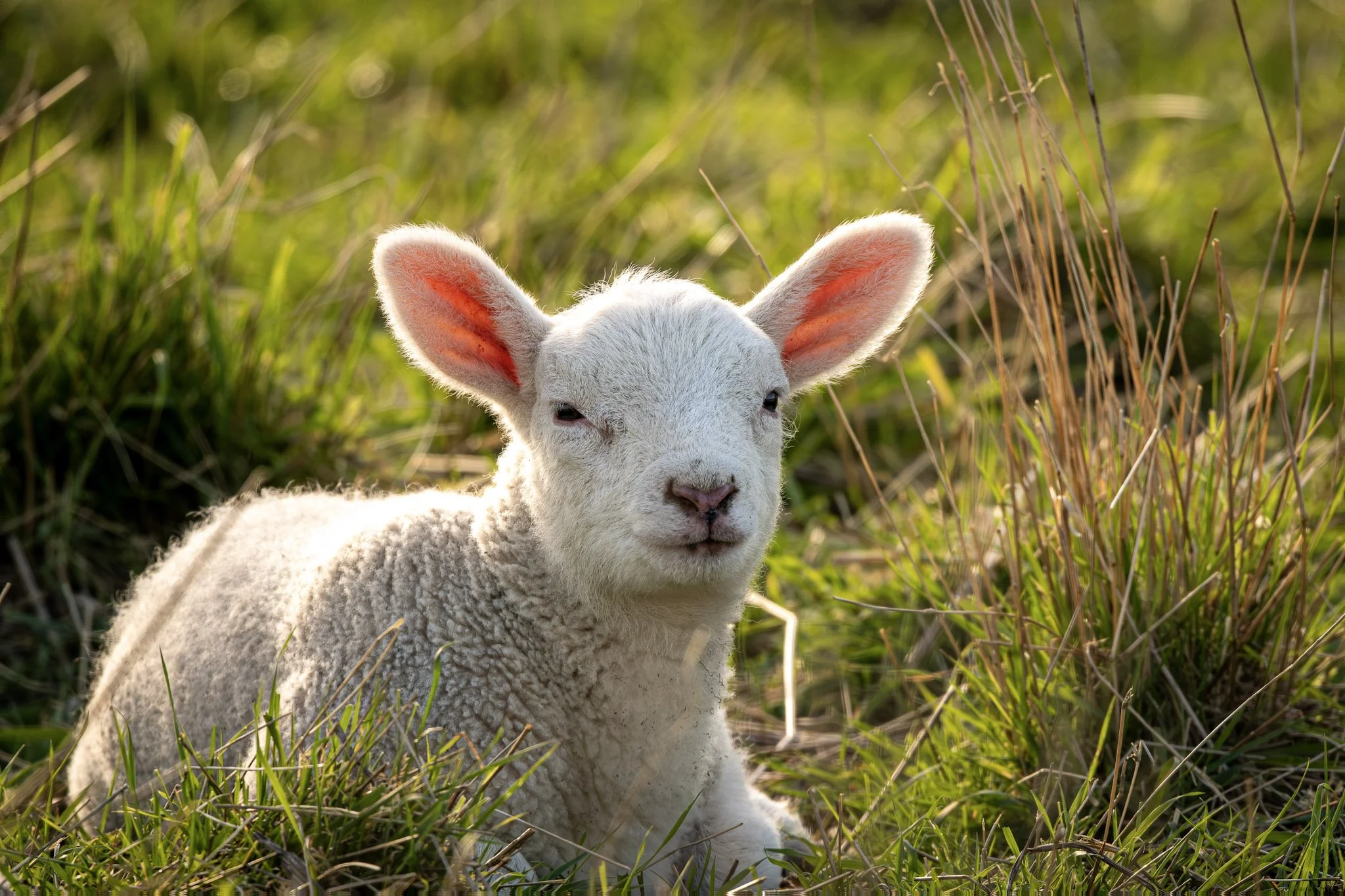 Personalised Yorkshire Dales holiday experience