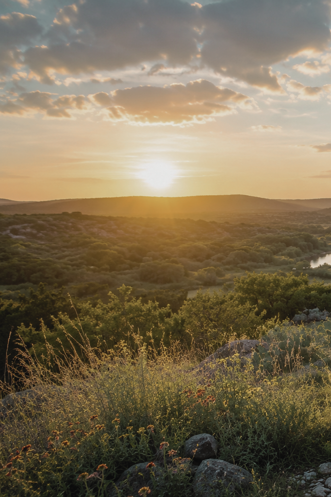 Sunset over a scenic landscape with rolling hills, dense green trees, a river, and wildflowers in the foreground.