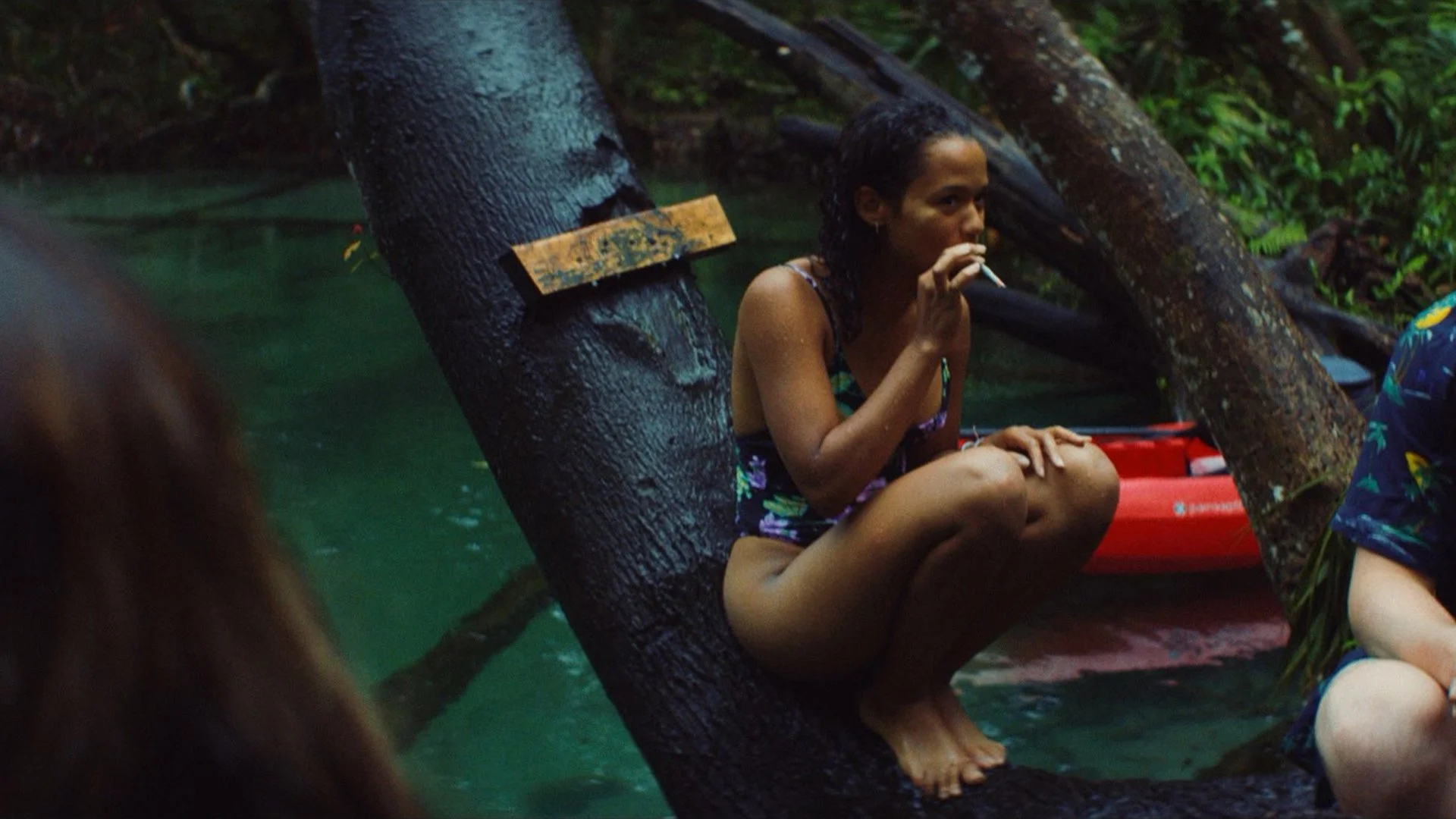 Daughters of the Mangrove