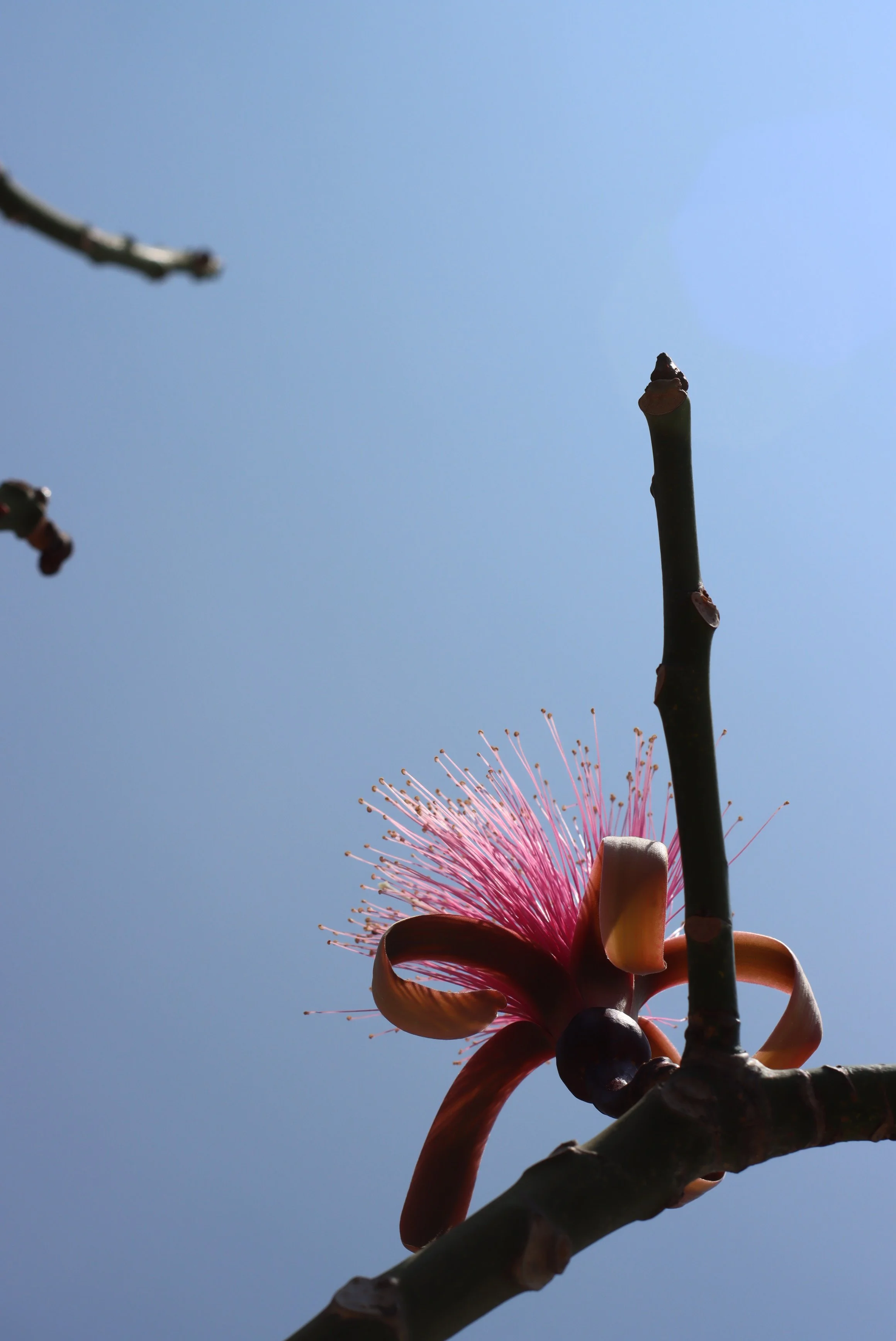 IMG_5822.JPG