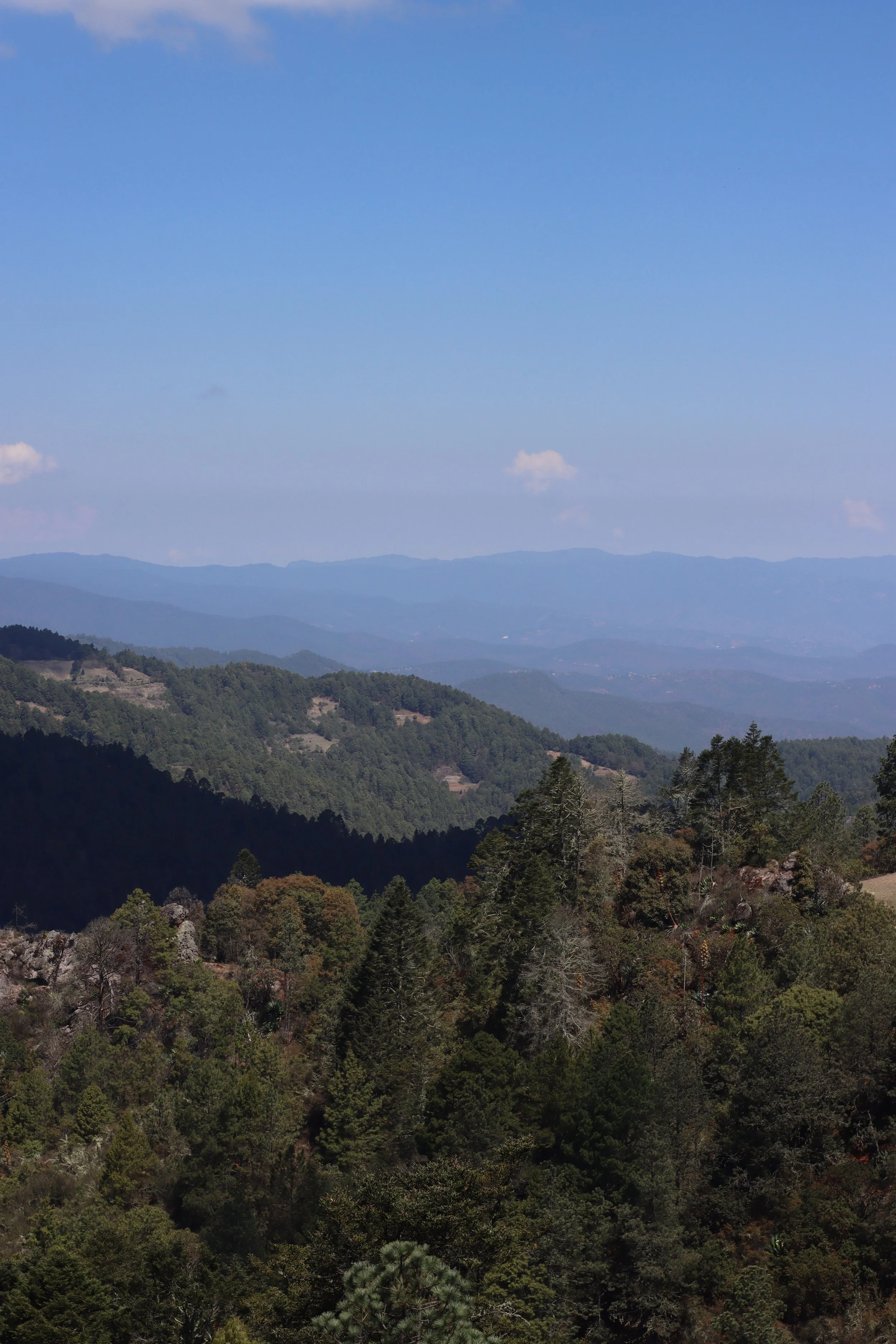IMG_4962.JPG