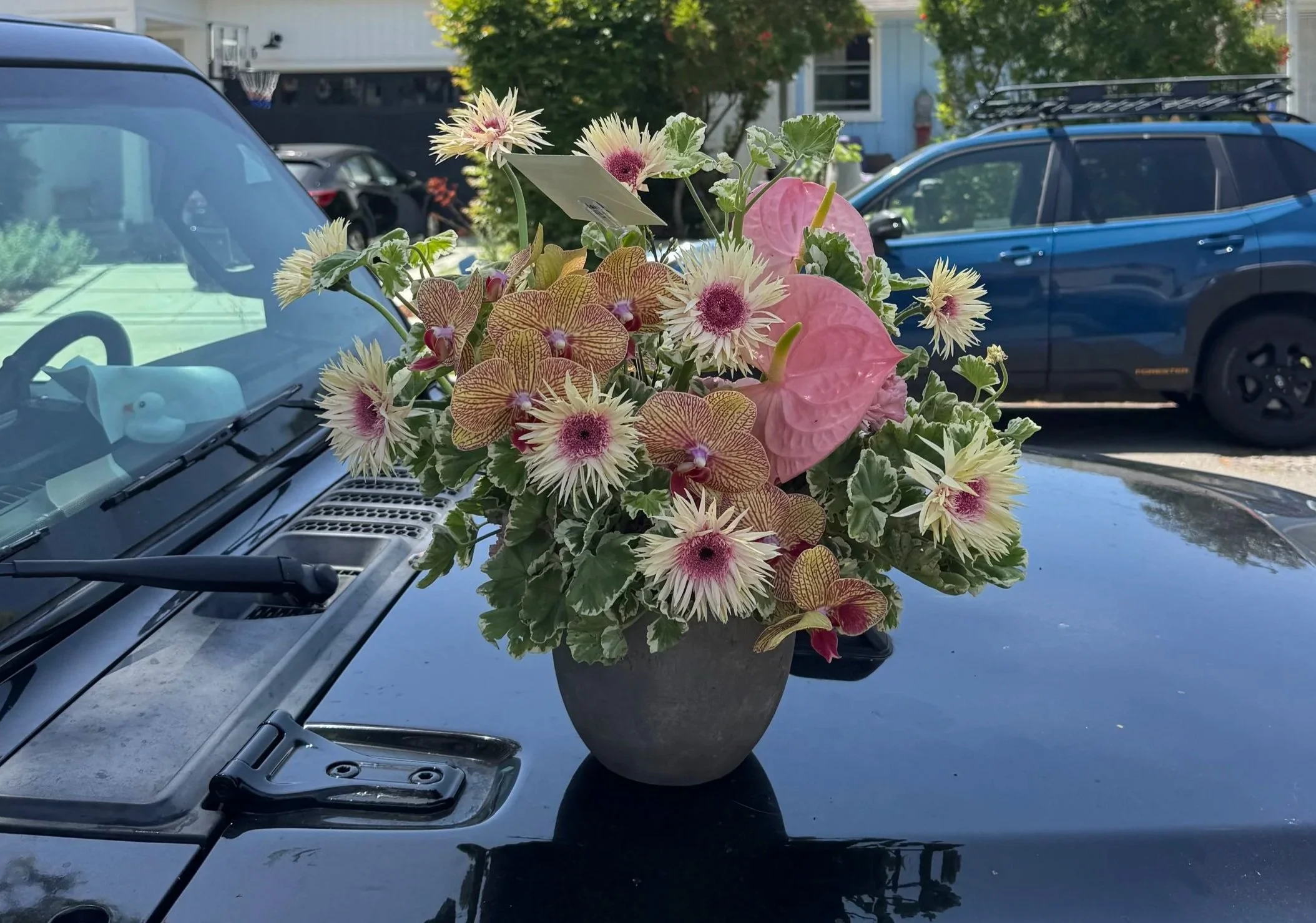 A bouquet of various flowers in a black pot placed on the hood of a black car. The flowers include pink anthuriums, white and pink flowers with star-like petals, and brown and yellow-veined orchids. The background shows parked cars, a house with ligh