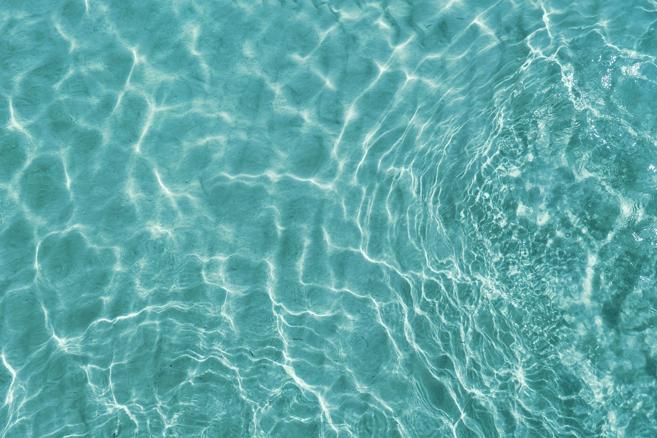 AdobeStock_717881149.jpeg