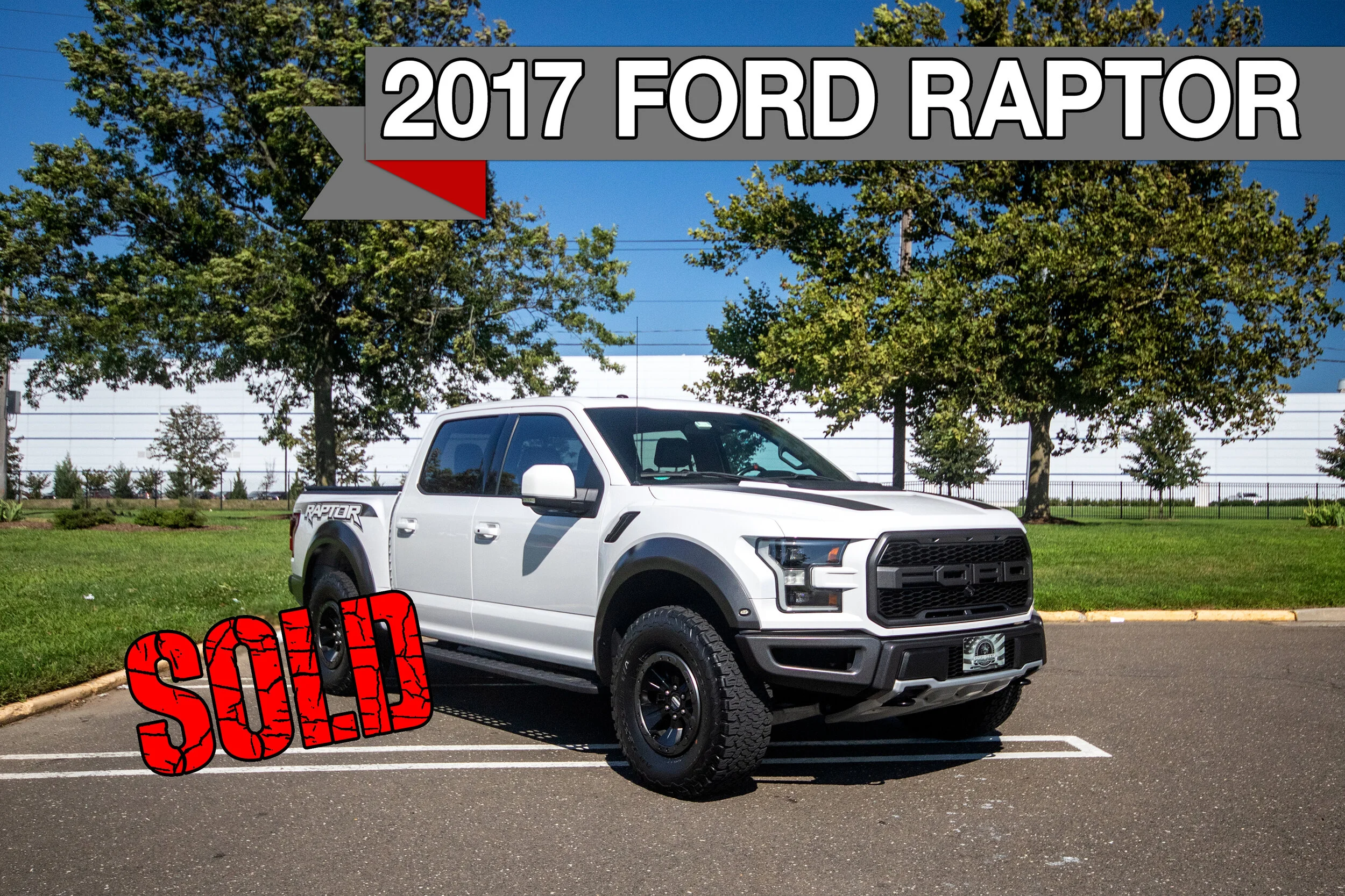 raptorfeatured1.jpg