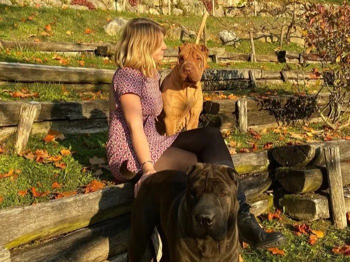 Une femme assise sur une barrière en bois, accompagnée de deux grands chiens, dans un parc ou un jardin lors d'automne. Un des chiens est brun et un autre est noir.