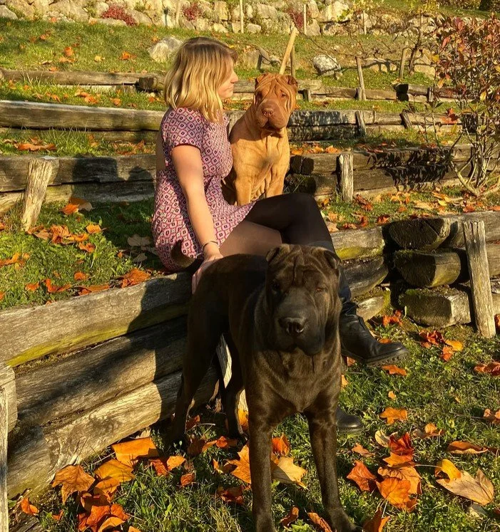 Une jeune femme avec deux grands chiens, un noir et un marron, dans un parc avec des feuilles d'automne tombées au sol et une clôture en bois en arrière-plan.