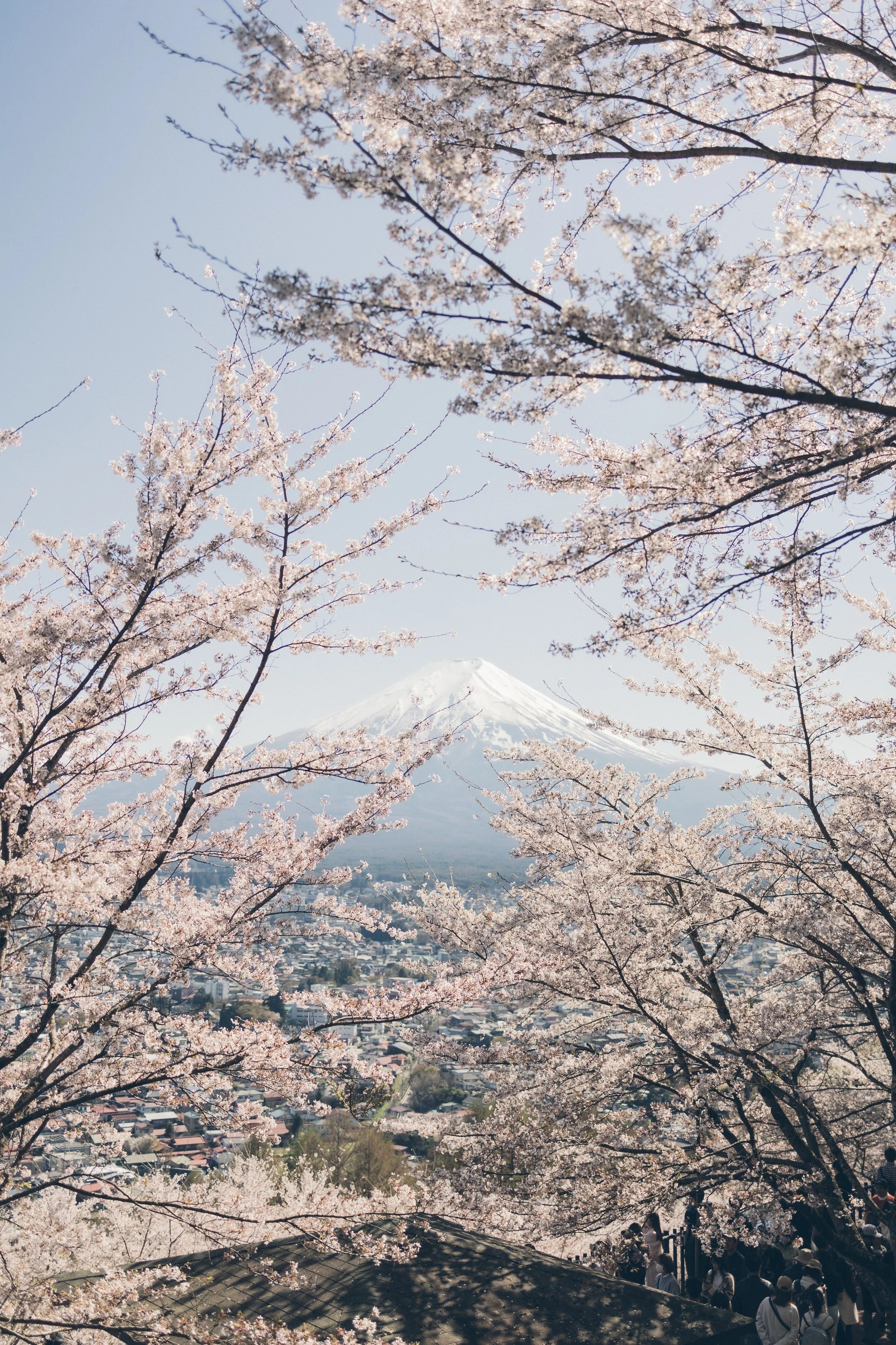 JAPAN