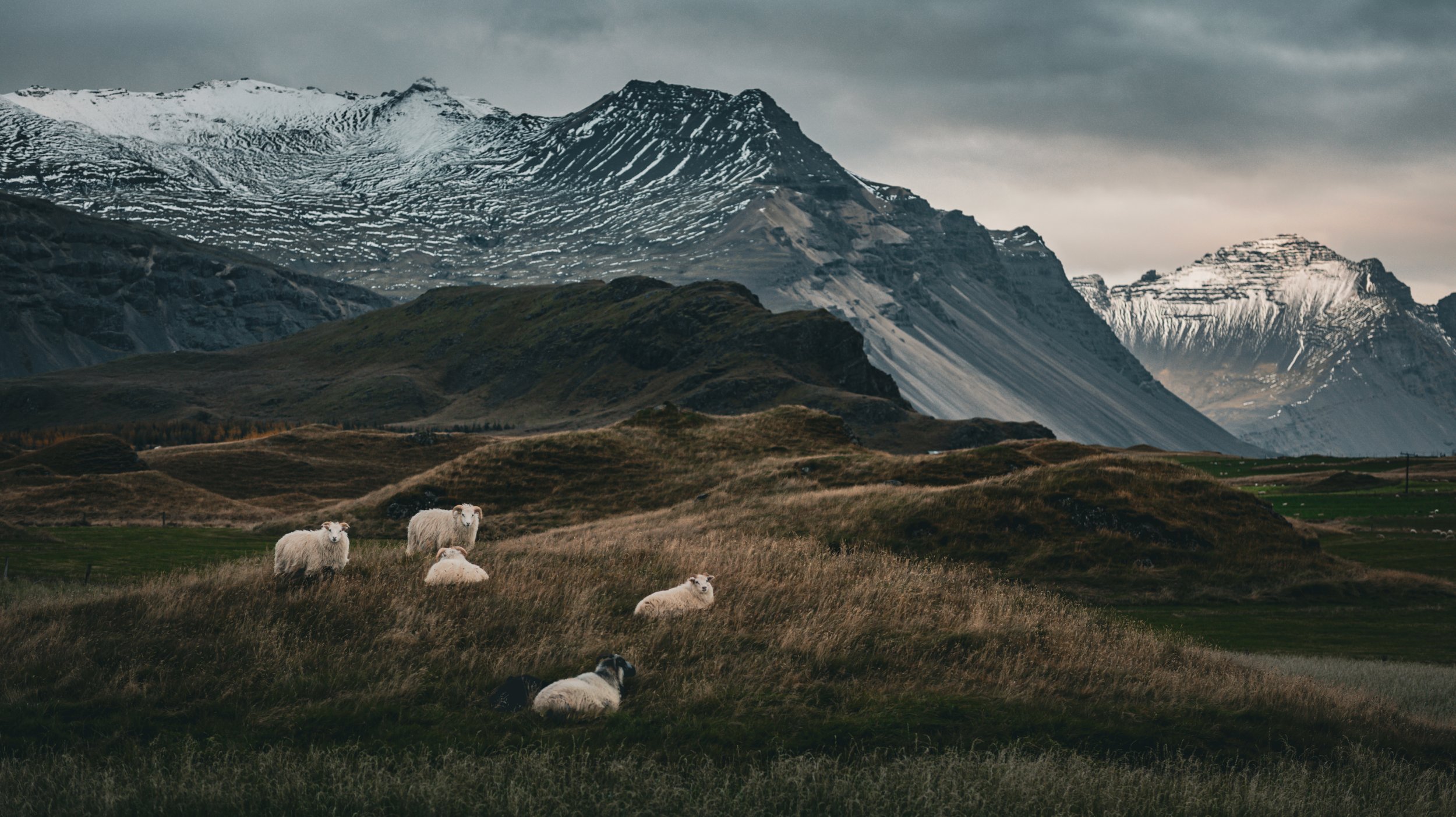 iceland.JPG