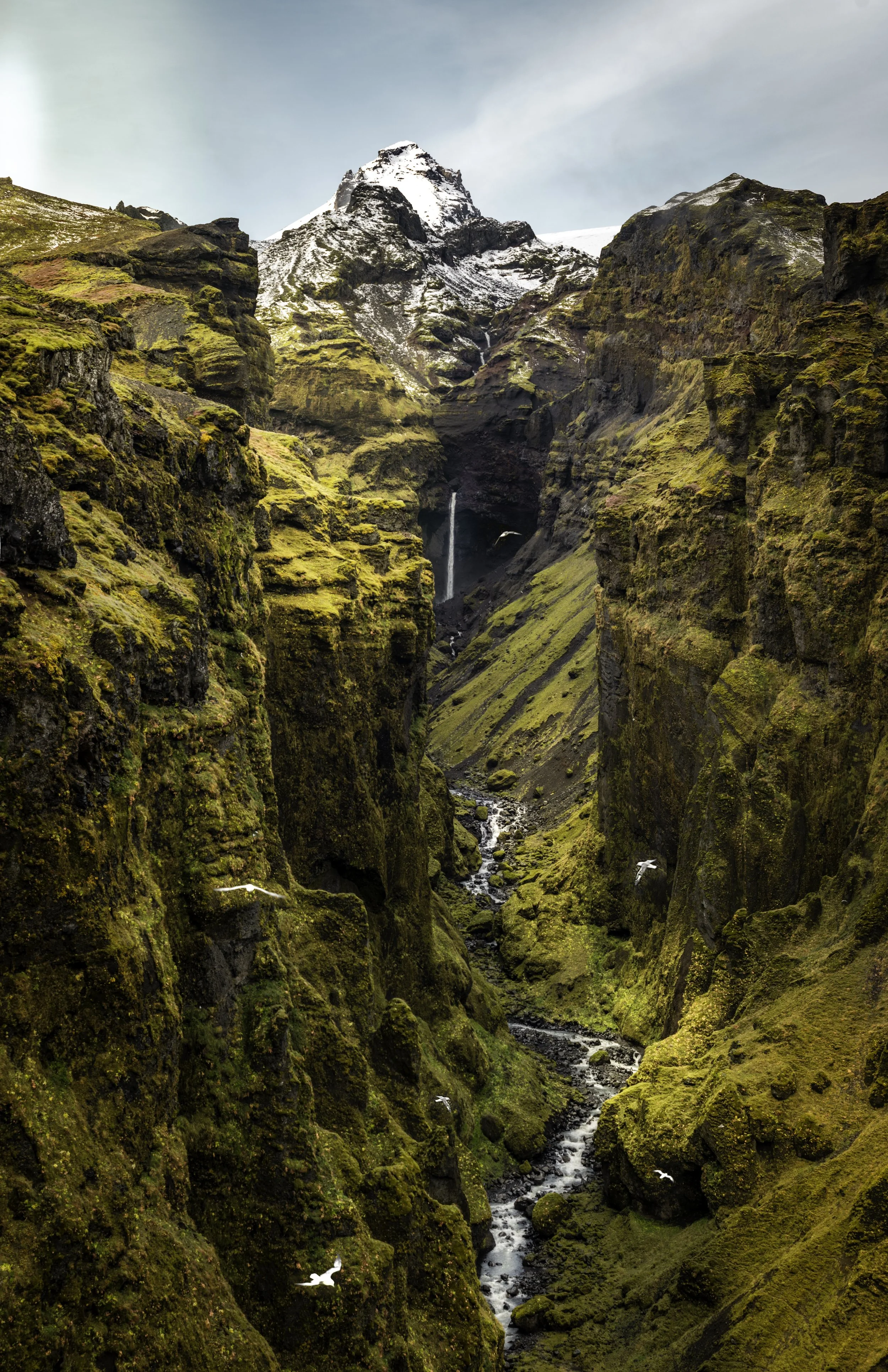 iceland canyon small.jpeg