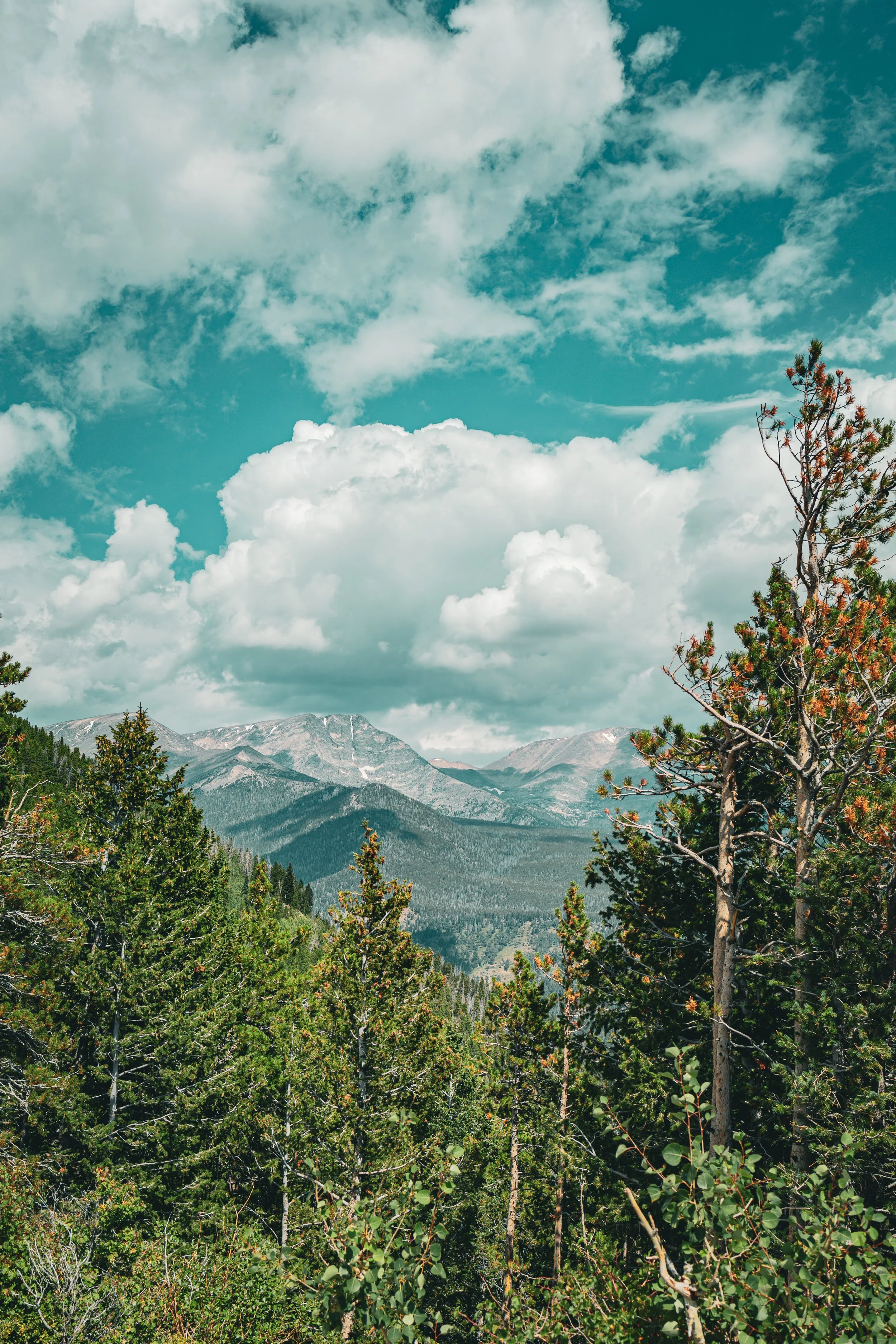RMNP1-14.JPG