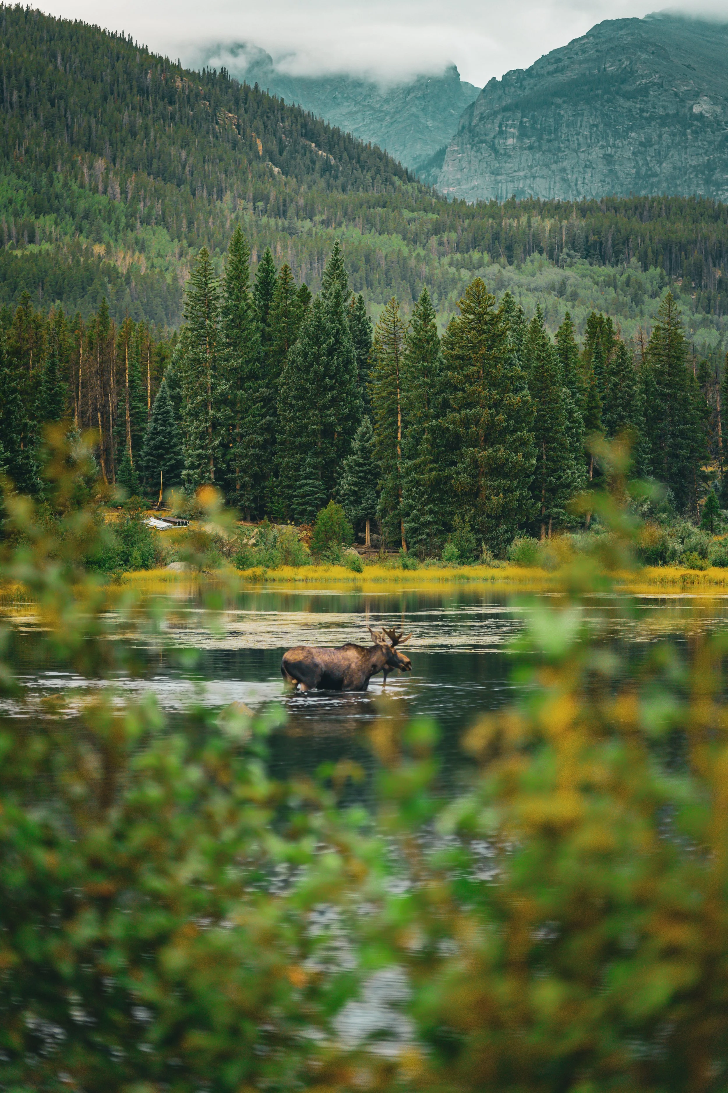 RMNP1-154.JPG