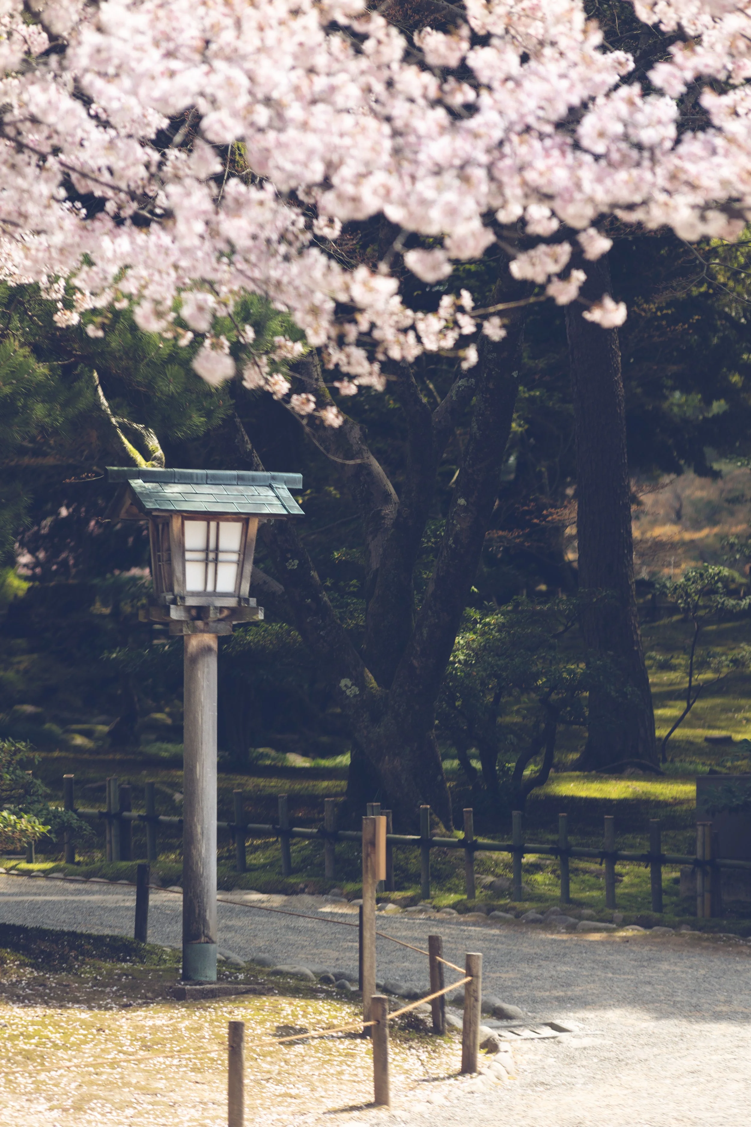Kanazawa-07.JPG
