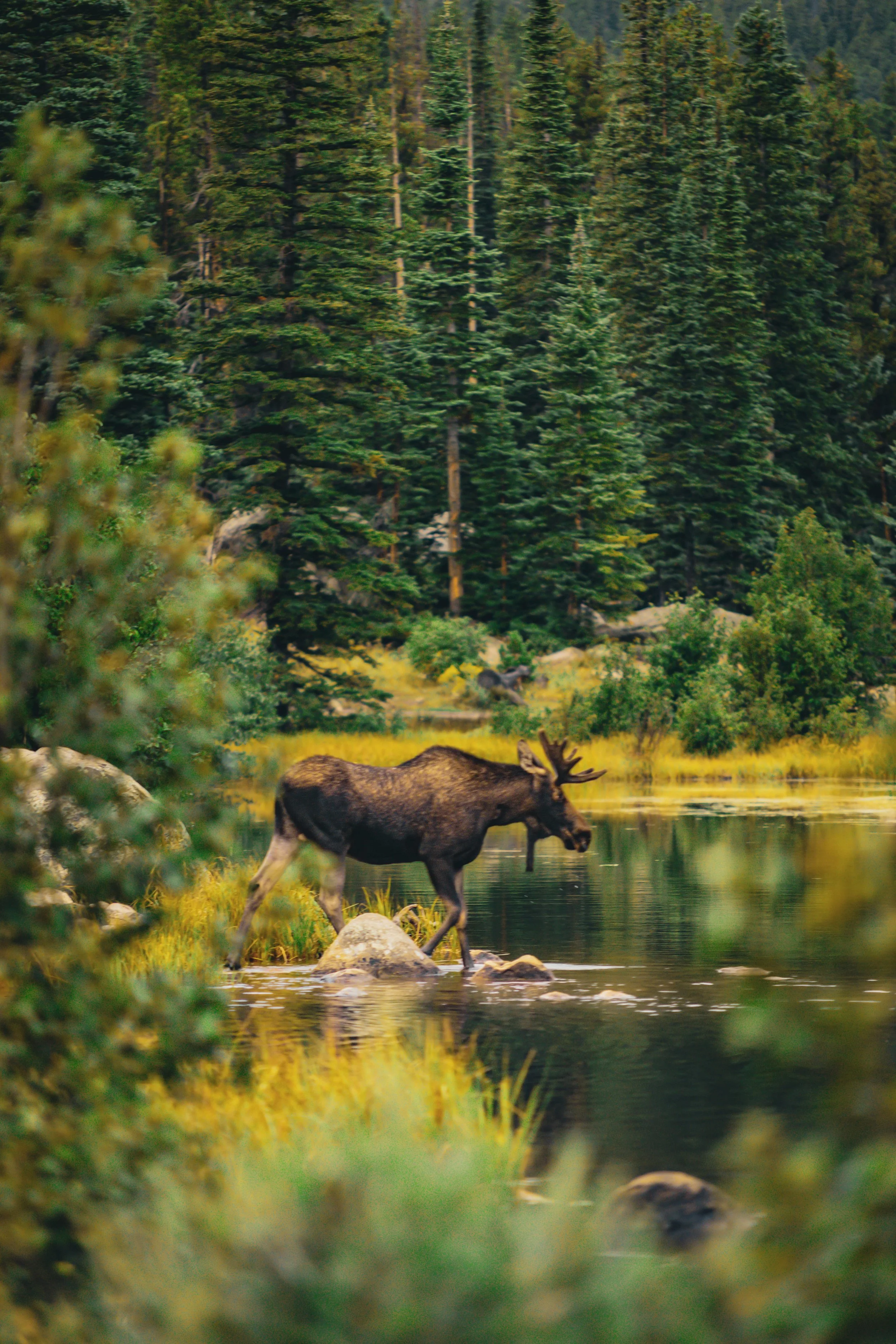 RMNP1-155.JPG