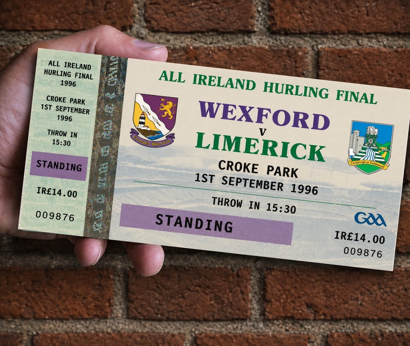 HURLING TKT.jpg