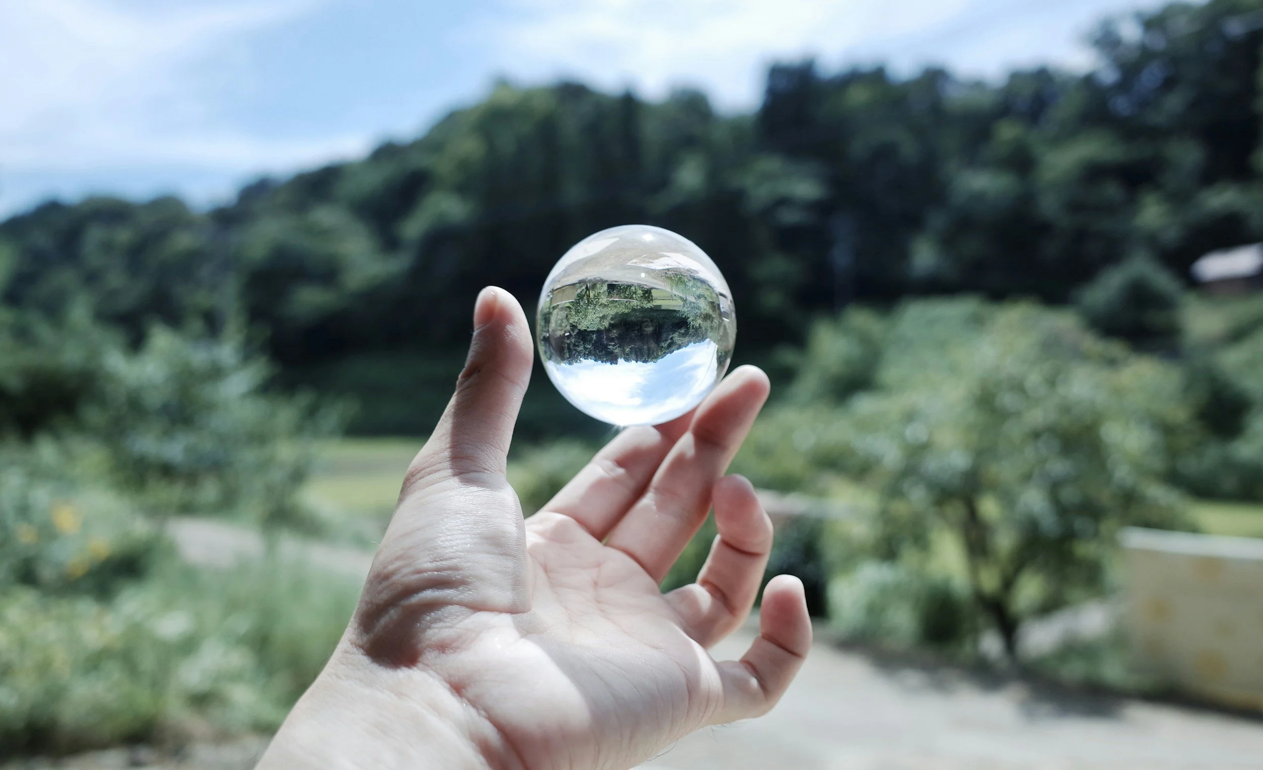Person holding a glass sphere reflecting trees and sky with a blurred natural outdoor background.