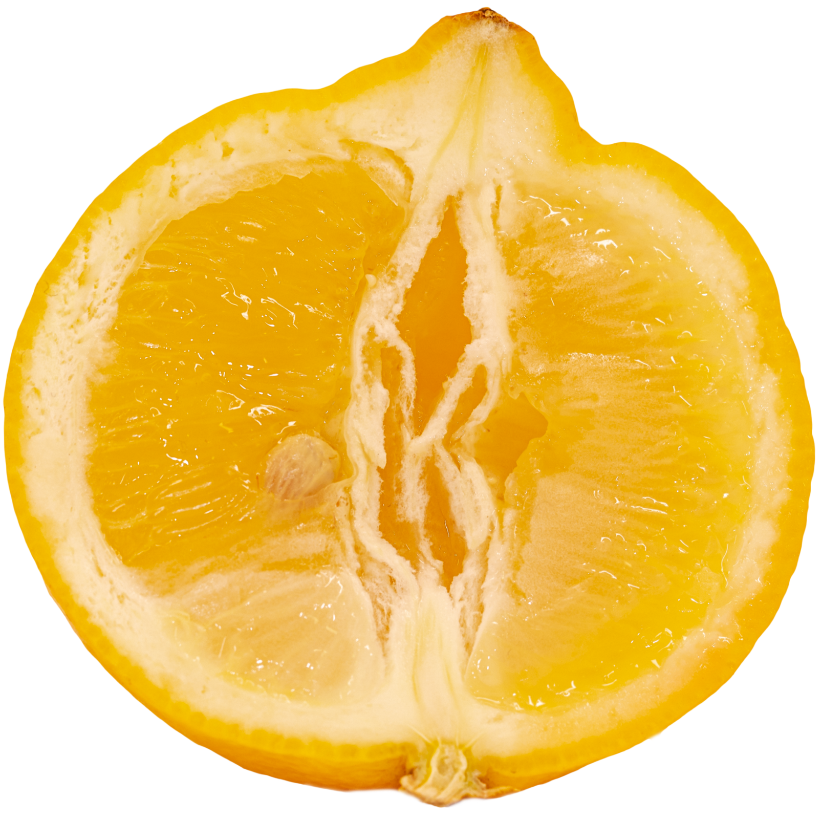 Lemon+N25A4981-1.png