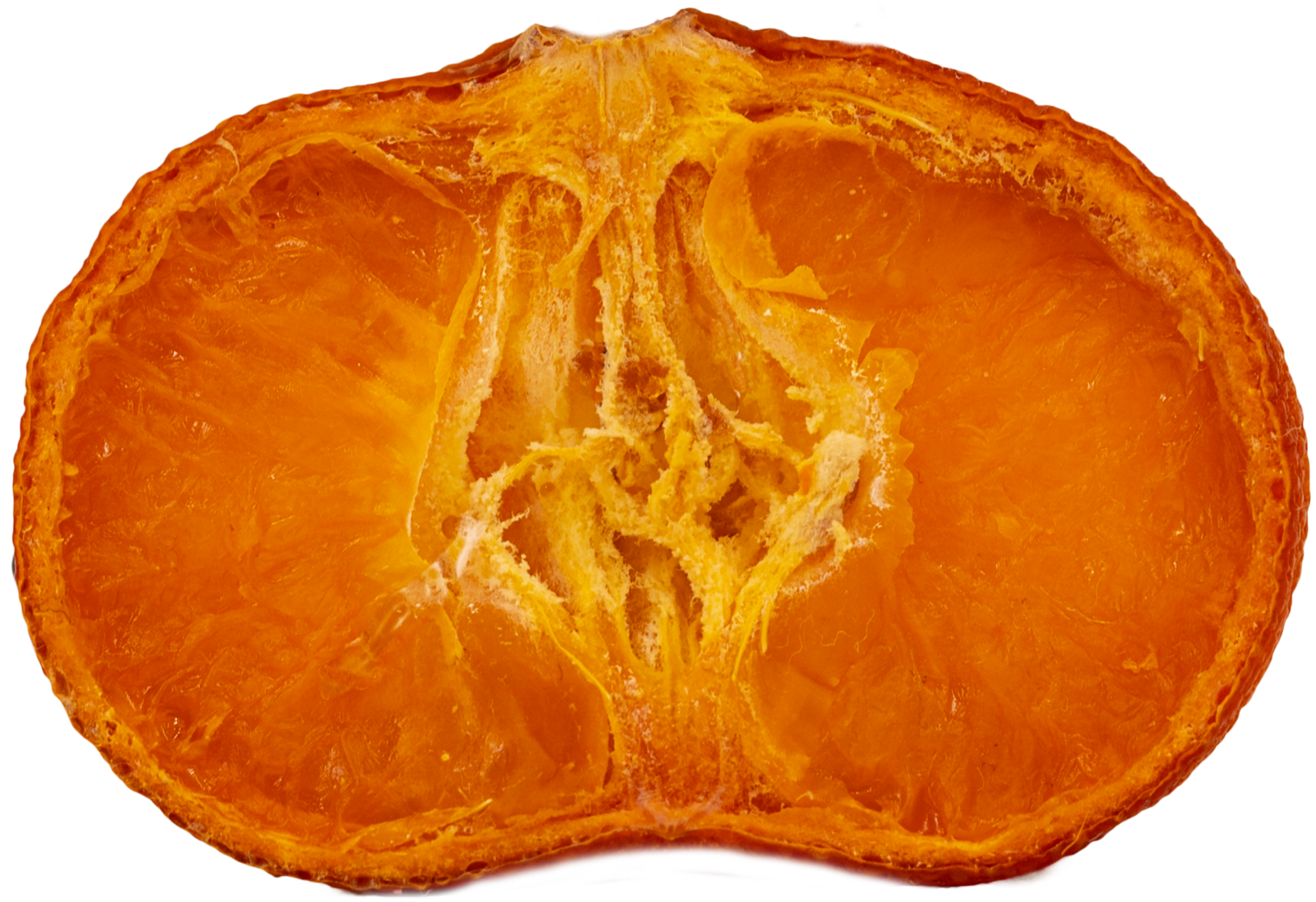 Satsuma+Dried+N25A4962-1.png