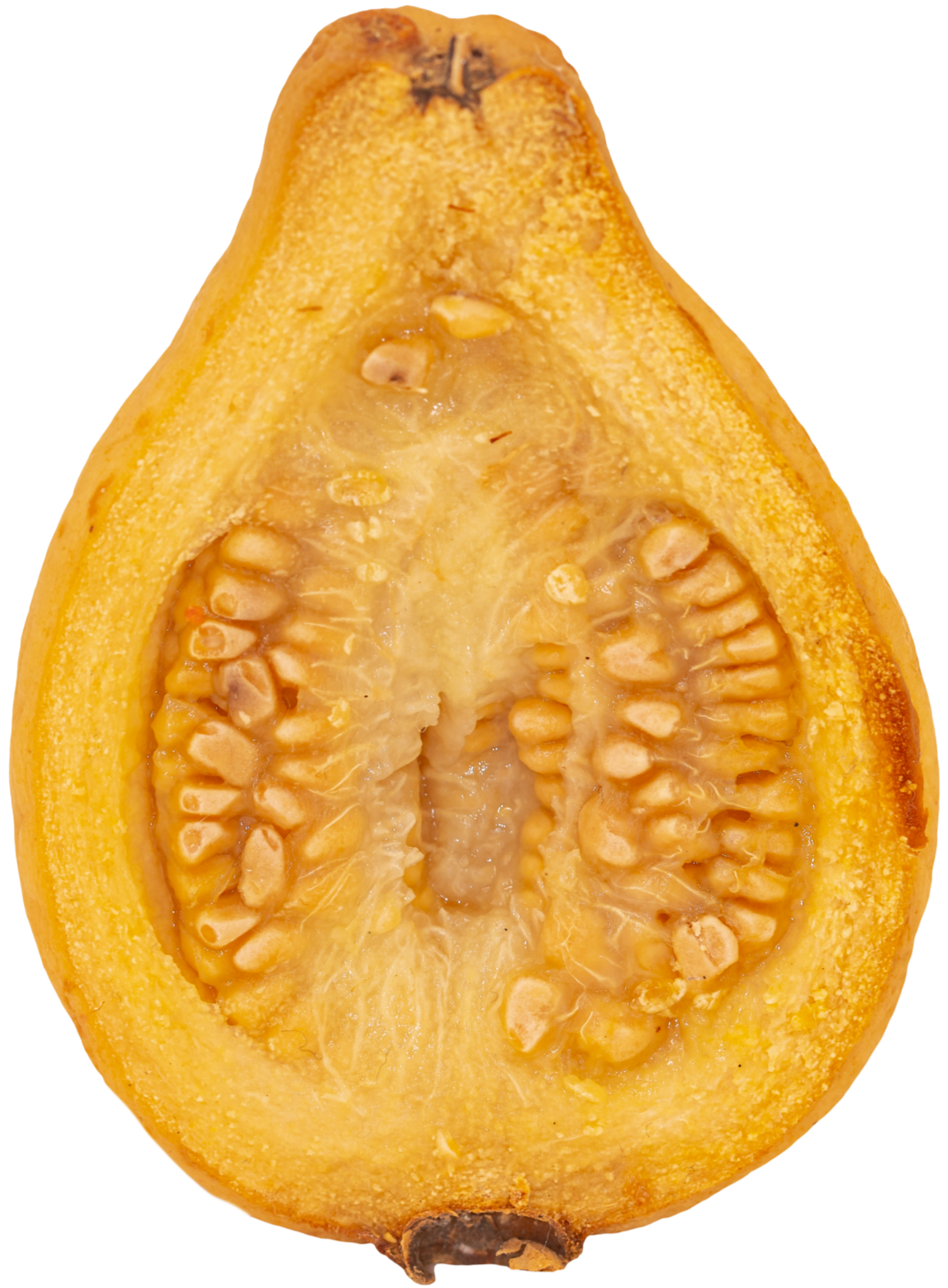 White+Guava+Dried+N25A5049-1.png