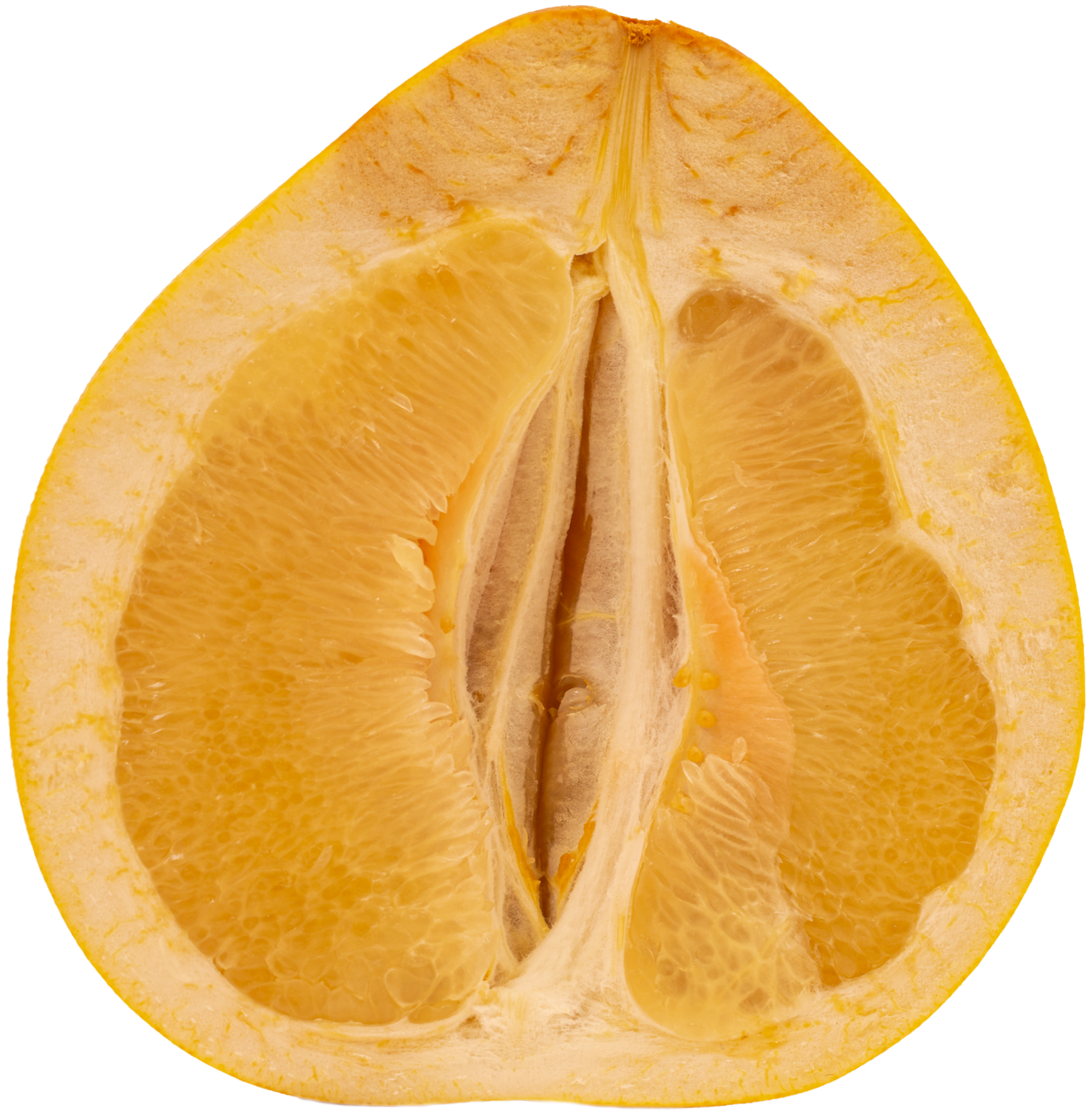 Pomelo+Fresh%3ADrier+N25A5070-1.png