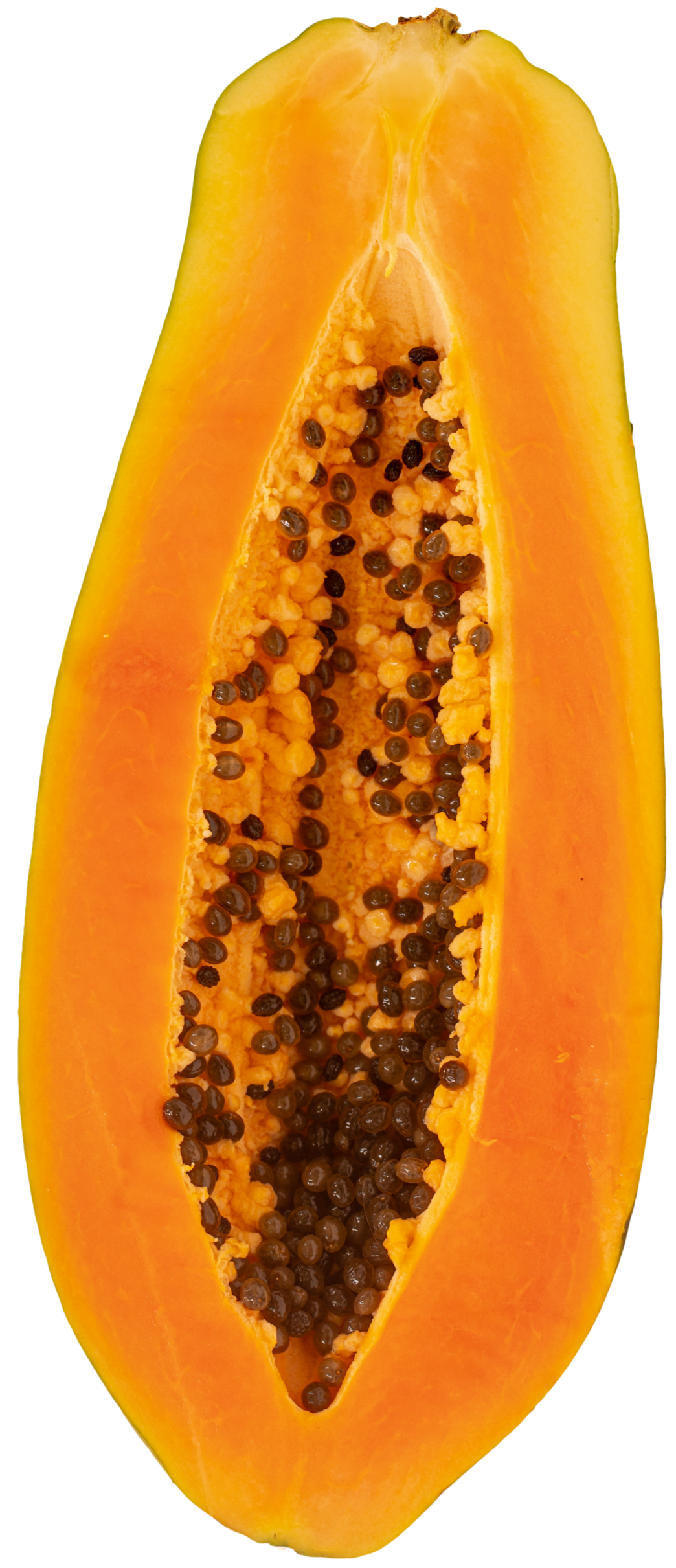 Papaya%252BN25A5082-1.png