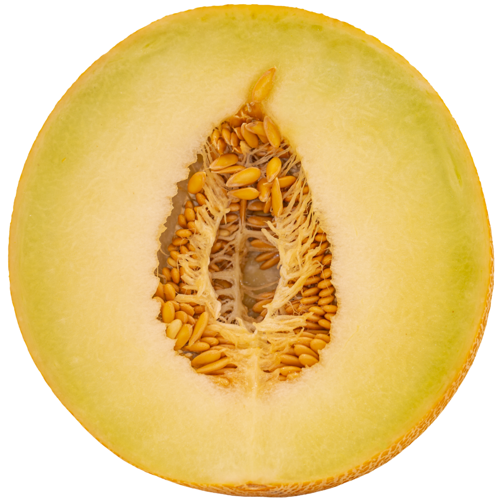 Honeydrew%2BMelon%2B2%2BN25A5055-1.png