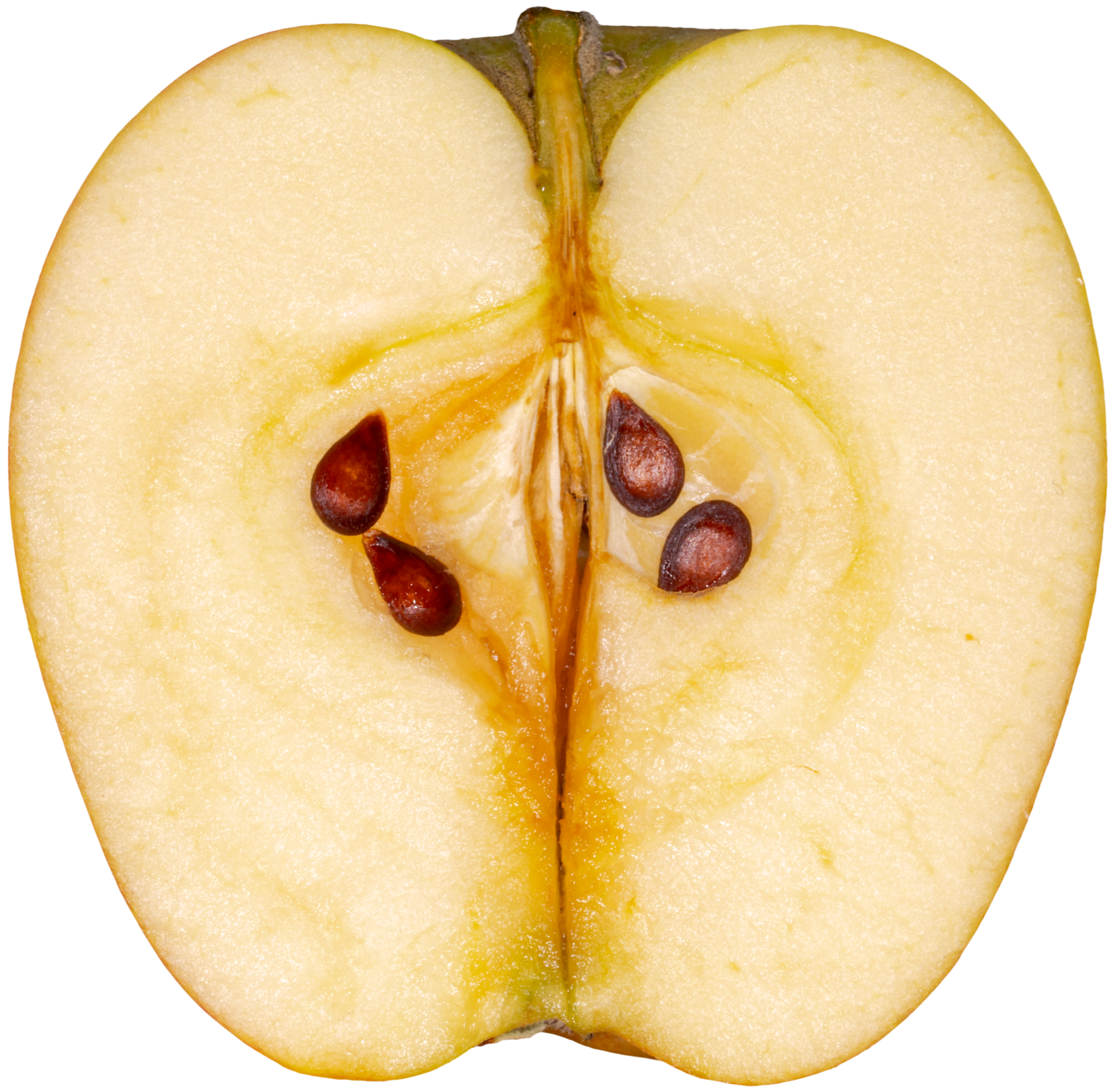 Apple+Fresh+N25A4846-1.png
