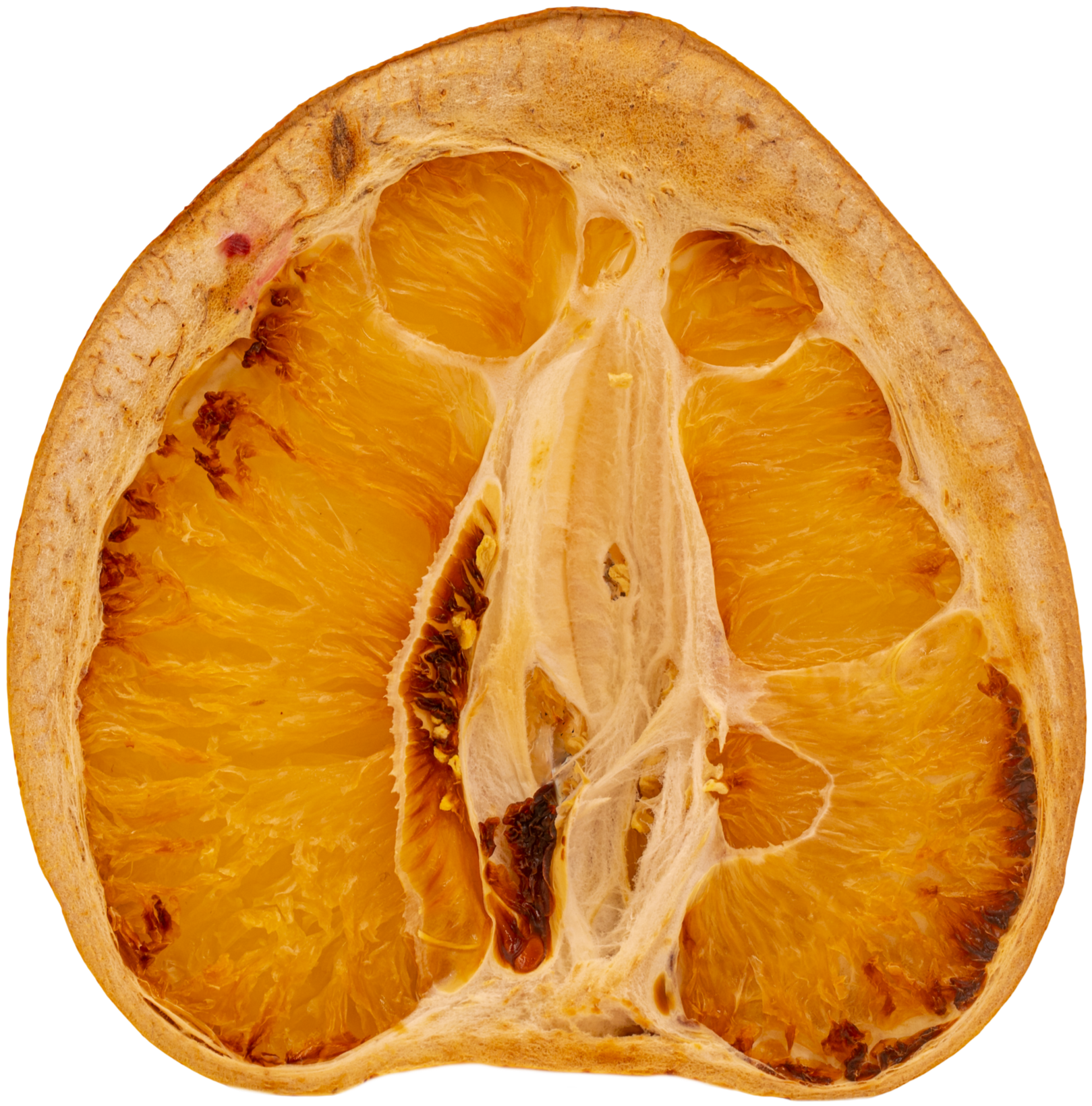 Pomelo+Dried+N25A5070-1.png