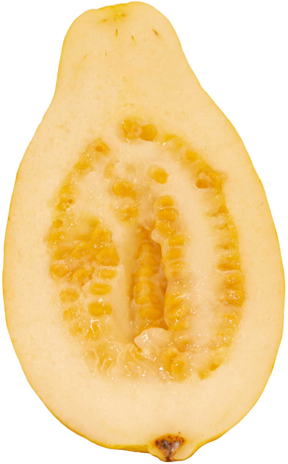 White+Guava+N25A5049-1.png