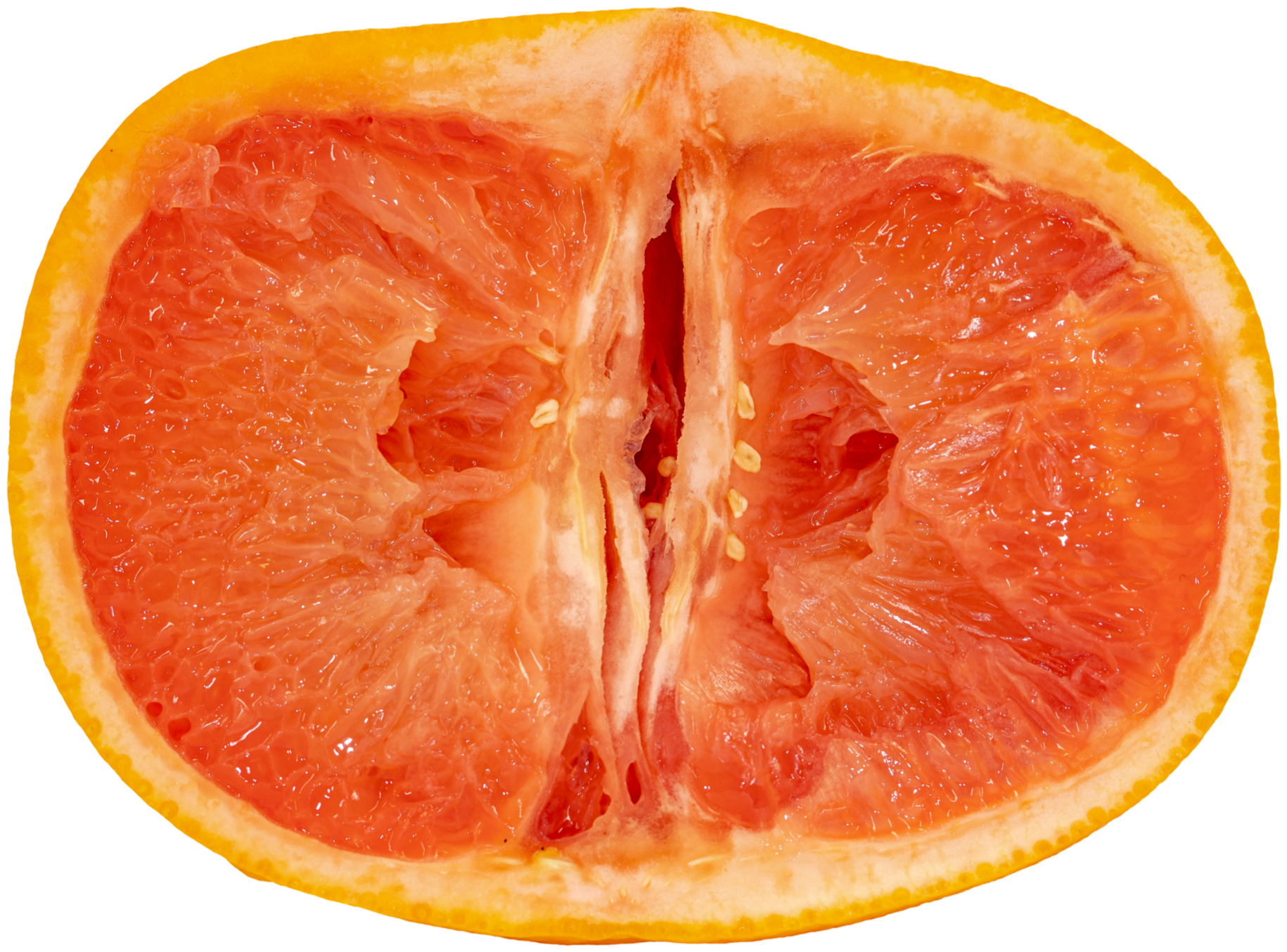Smaller+Grapefruit.png