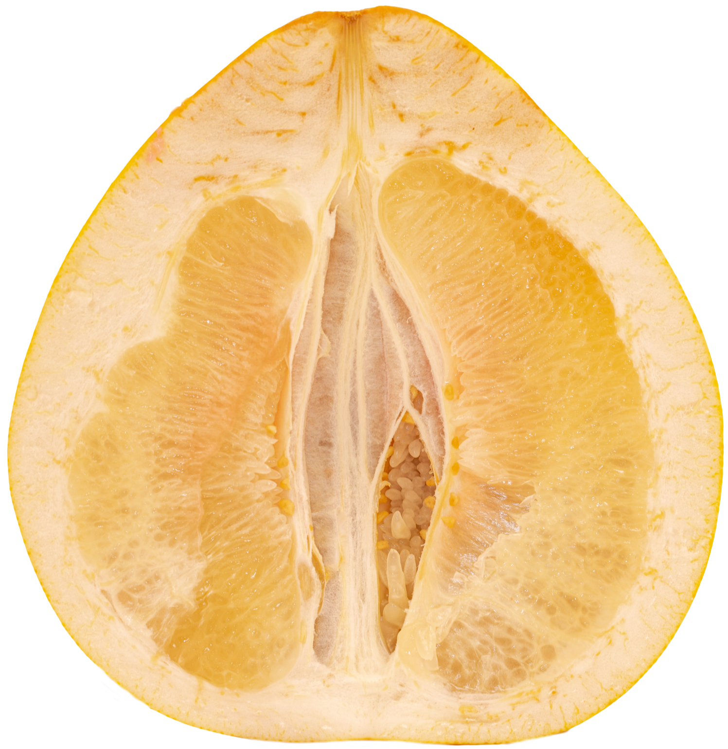 Pomelo+Fresh+N25A5070-1.png