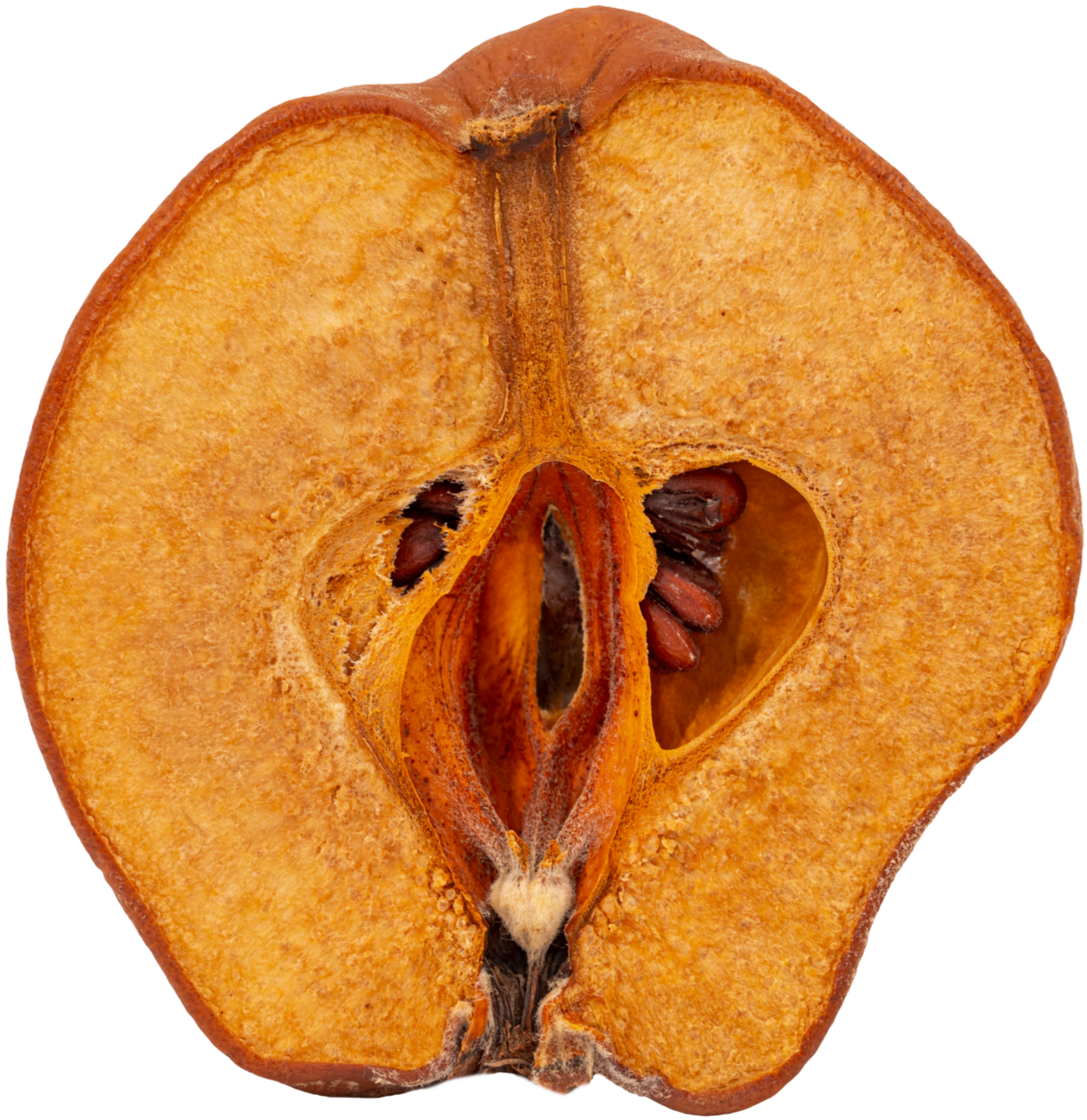 Smaller+Dried+Apple.png