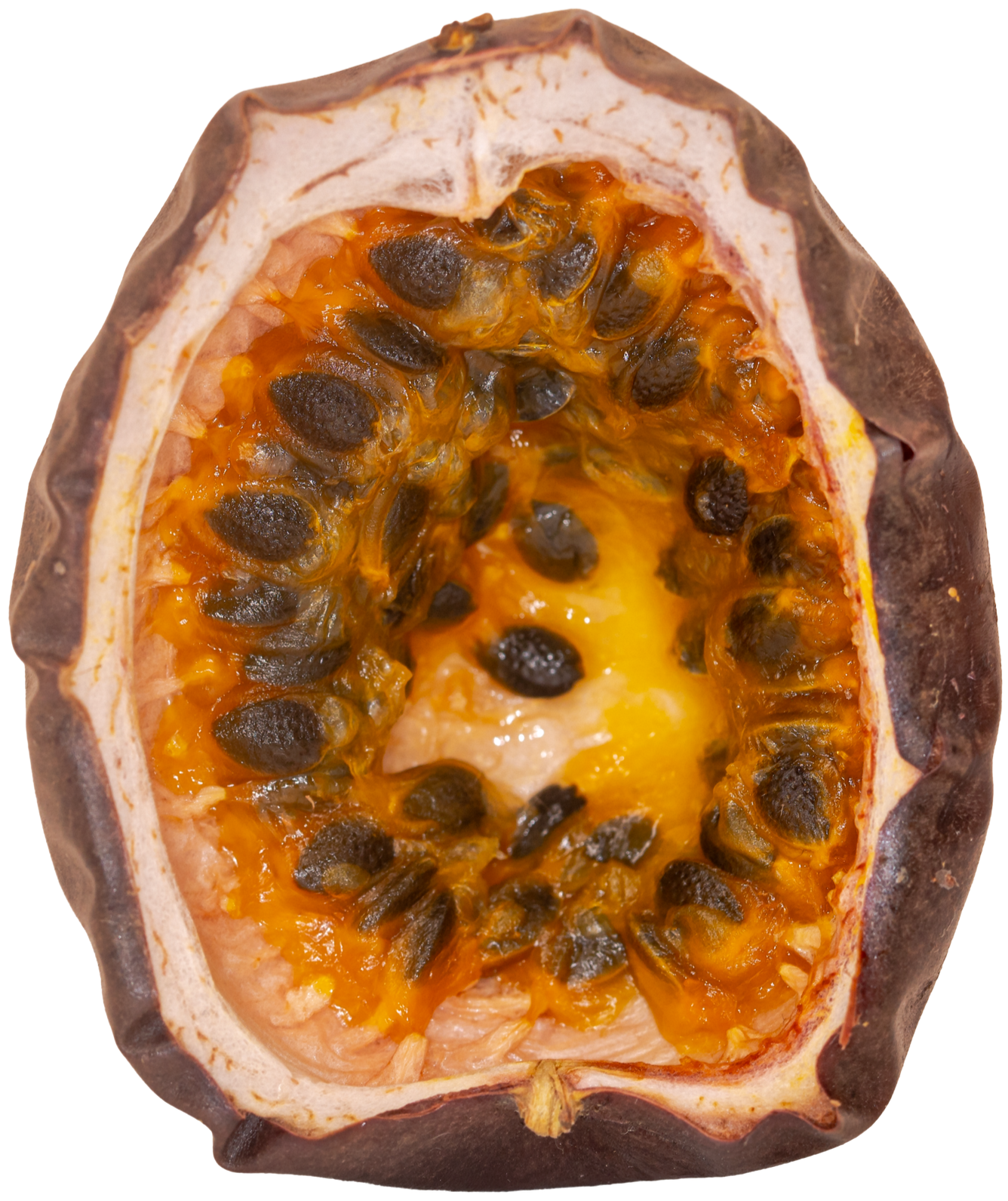 Passion+Fruit+Dried+N25A5102-1.png