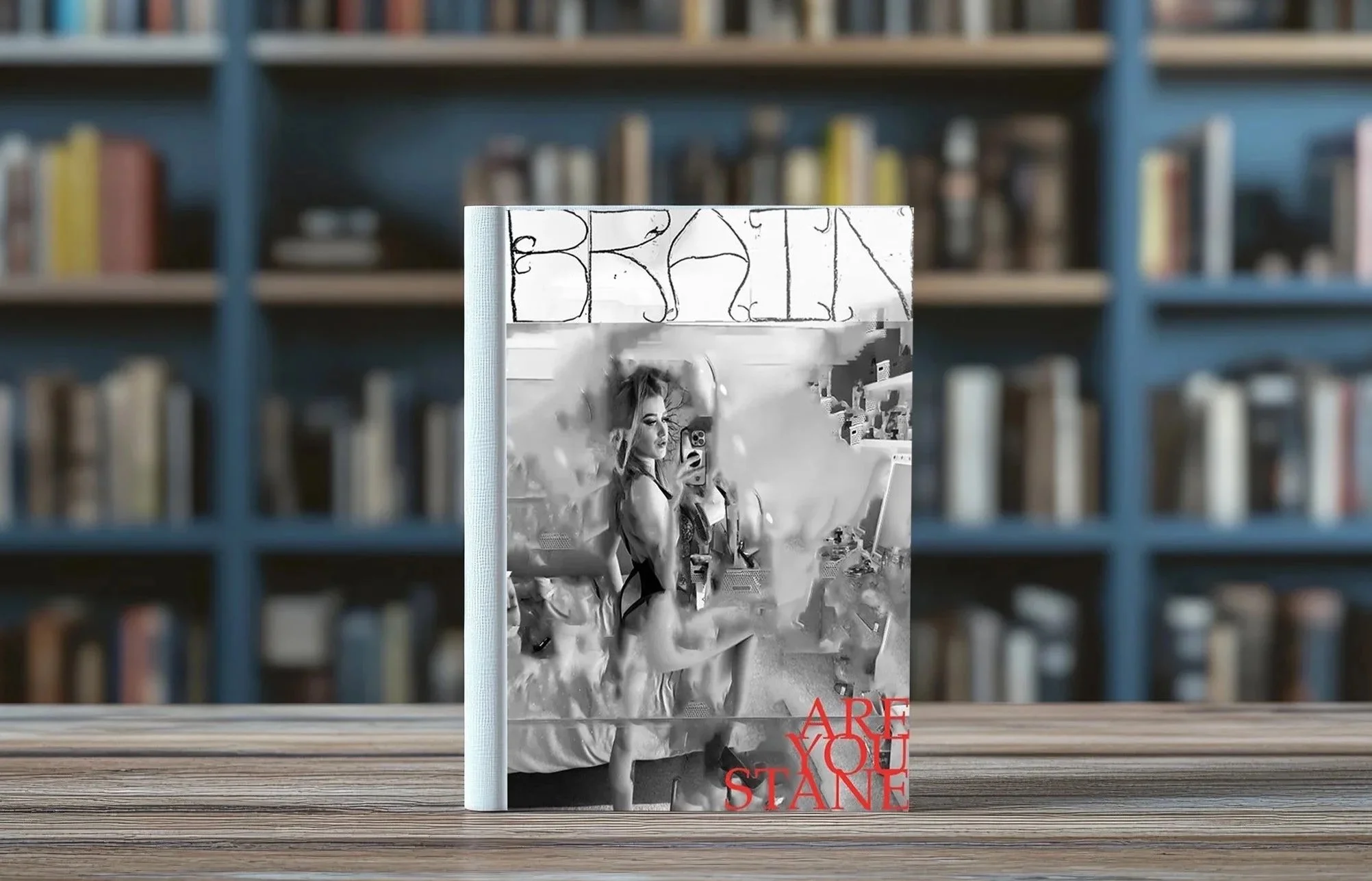 Zine%2Bmock%2Bup%2Bshelve.jpg