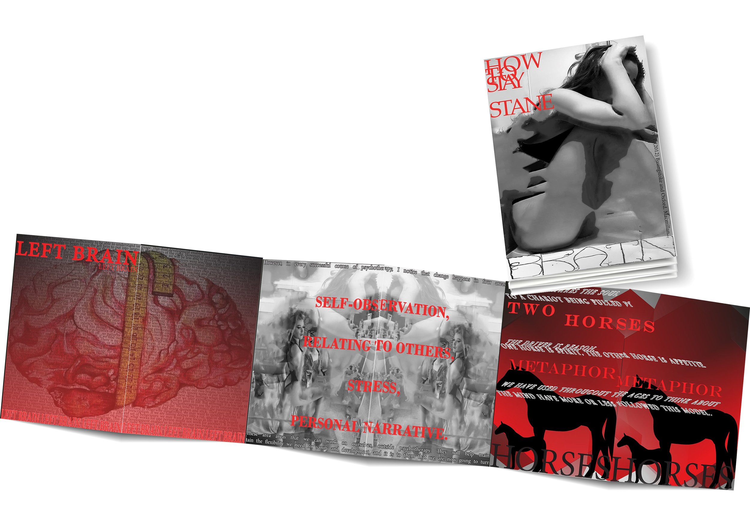 Zine Final image.jpg
