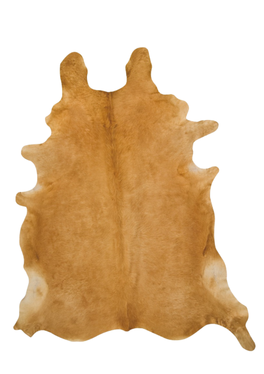 20.png