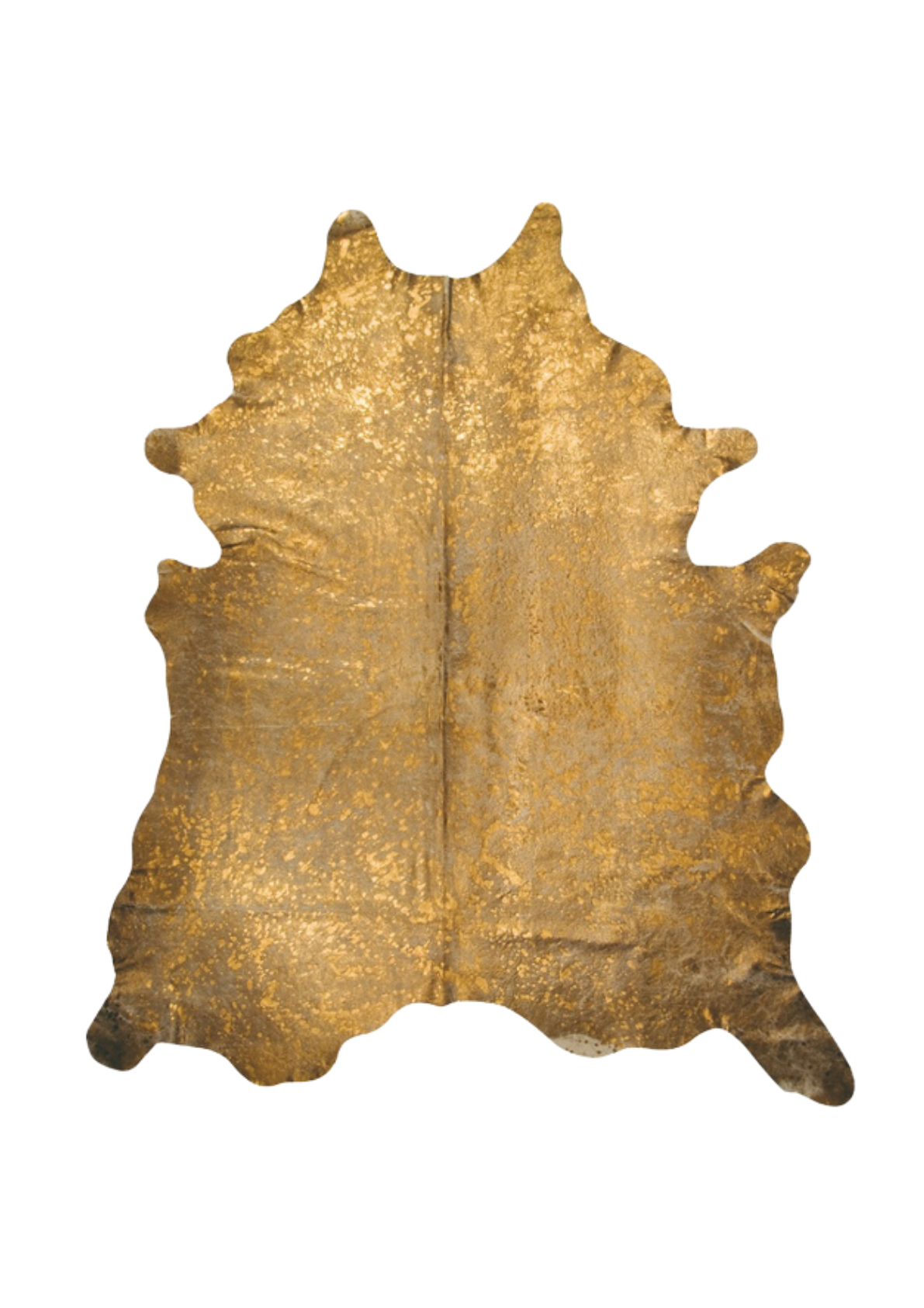 5.png