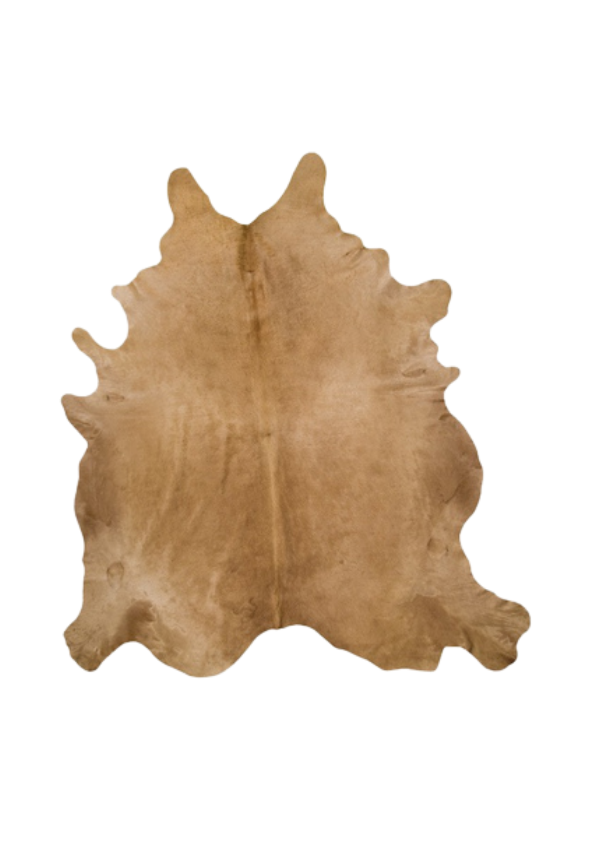 4.png