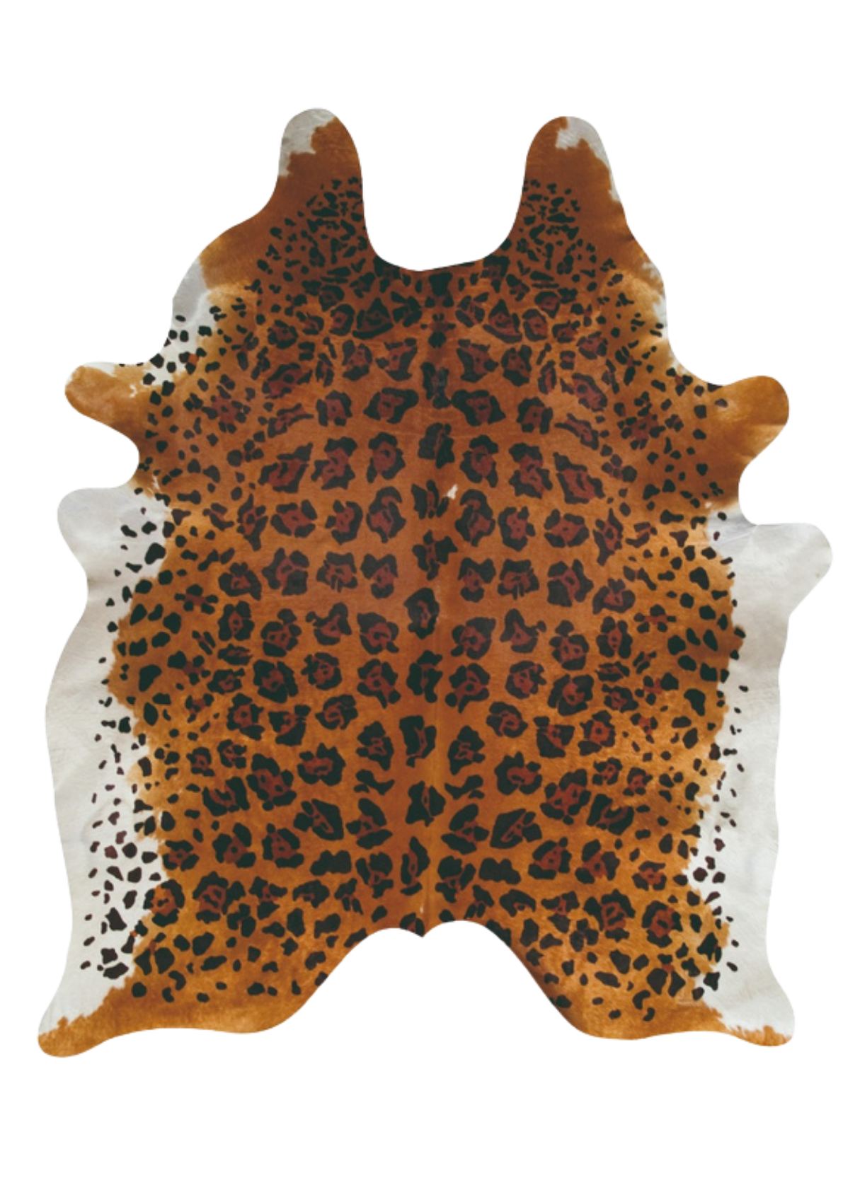 5.png
